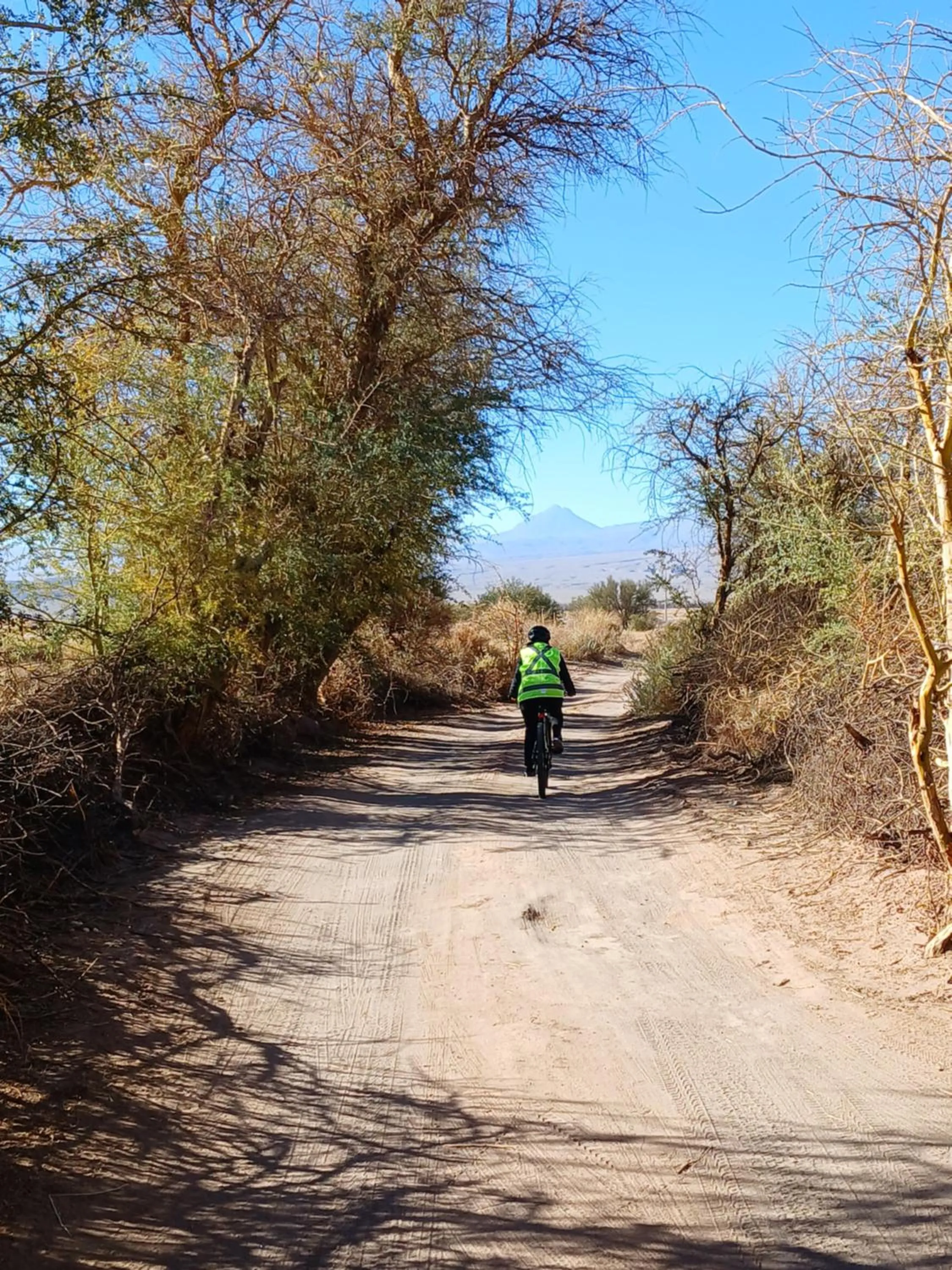 Day in Lodge Quelana