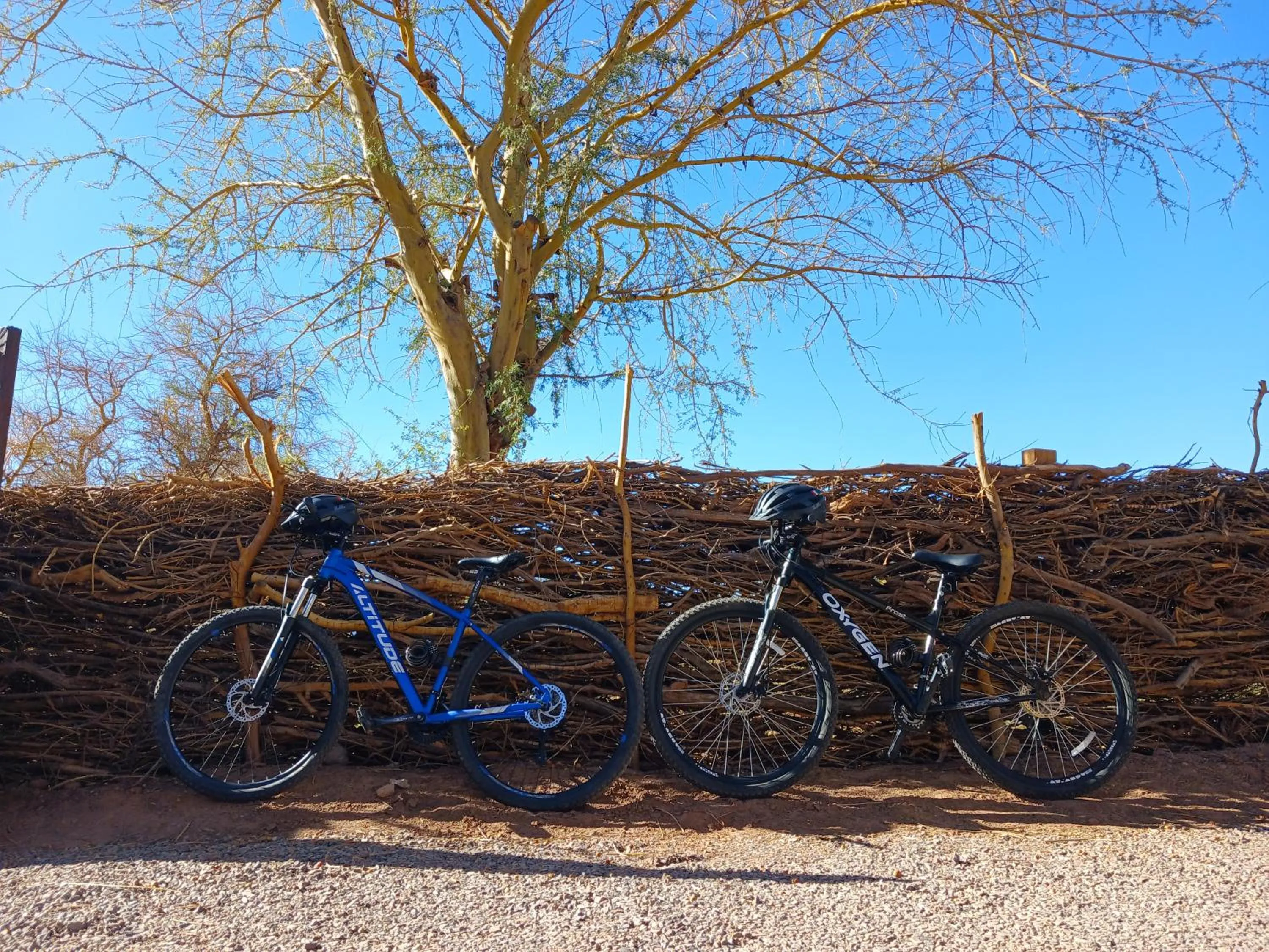 Day in Lodge Quelana