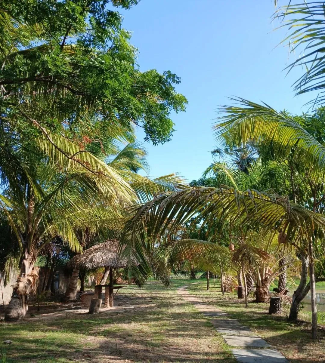 Spring in Delta Park Hotel