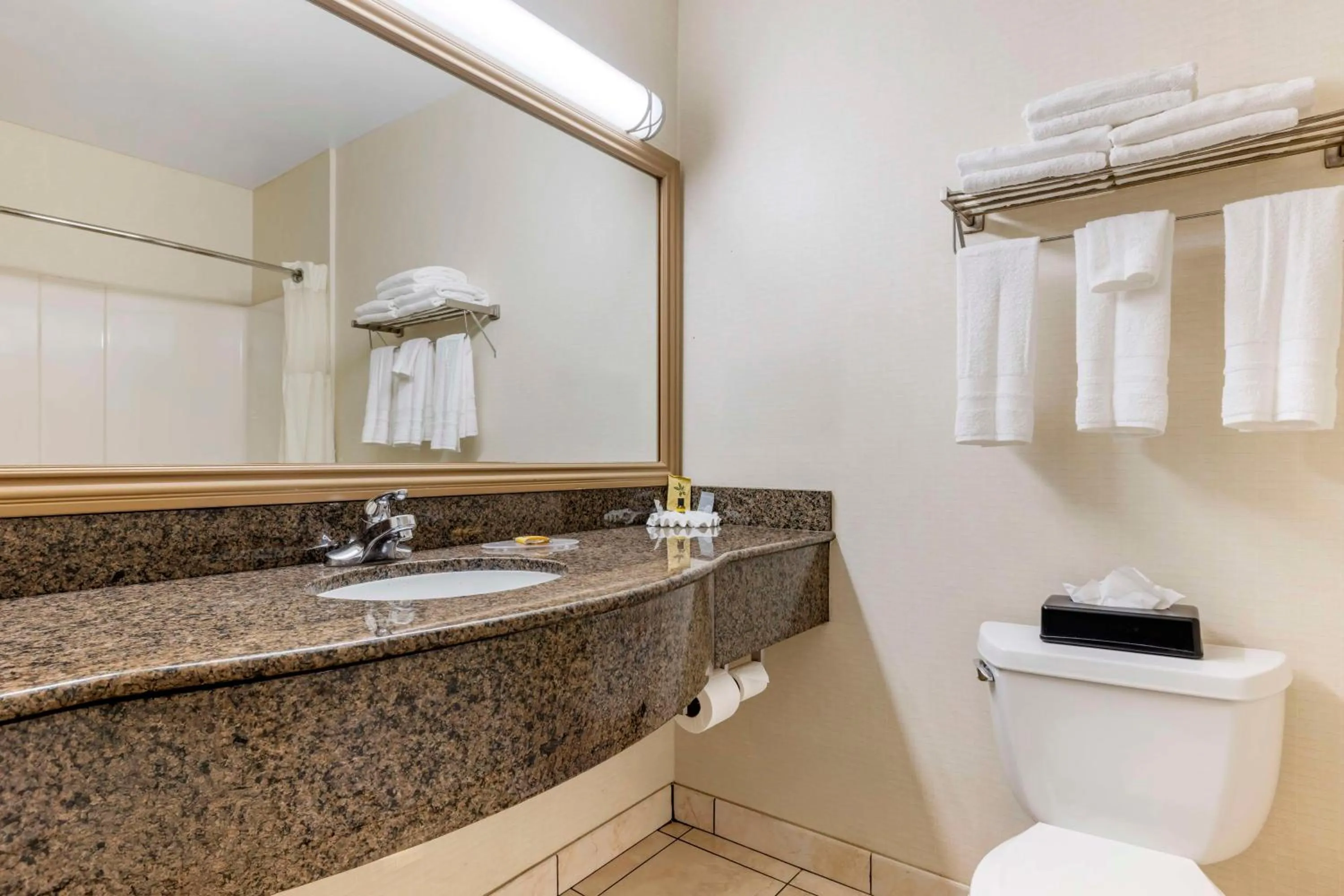 Bathroom in Best Western Plus Lake Elsinore Inn & Suites