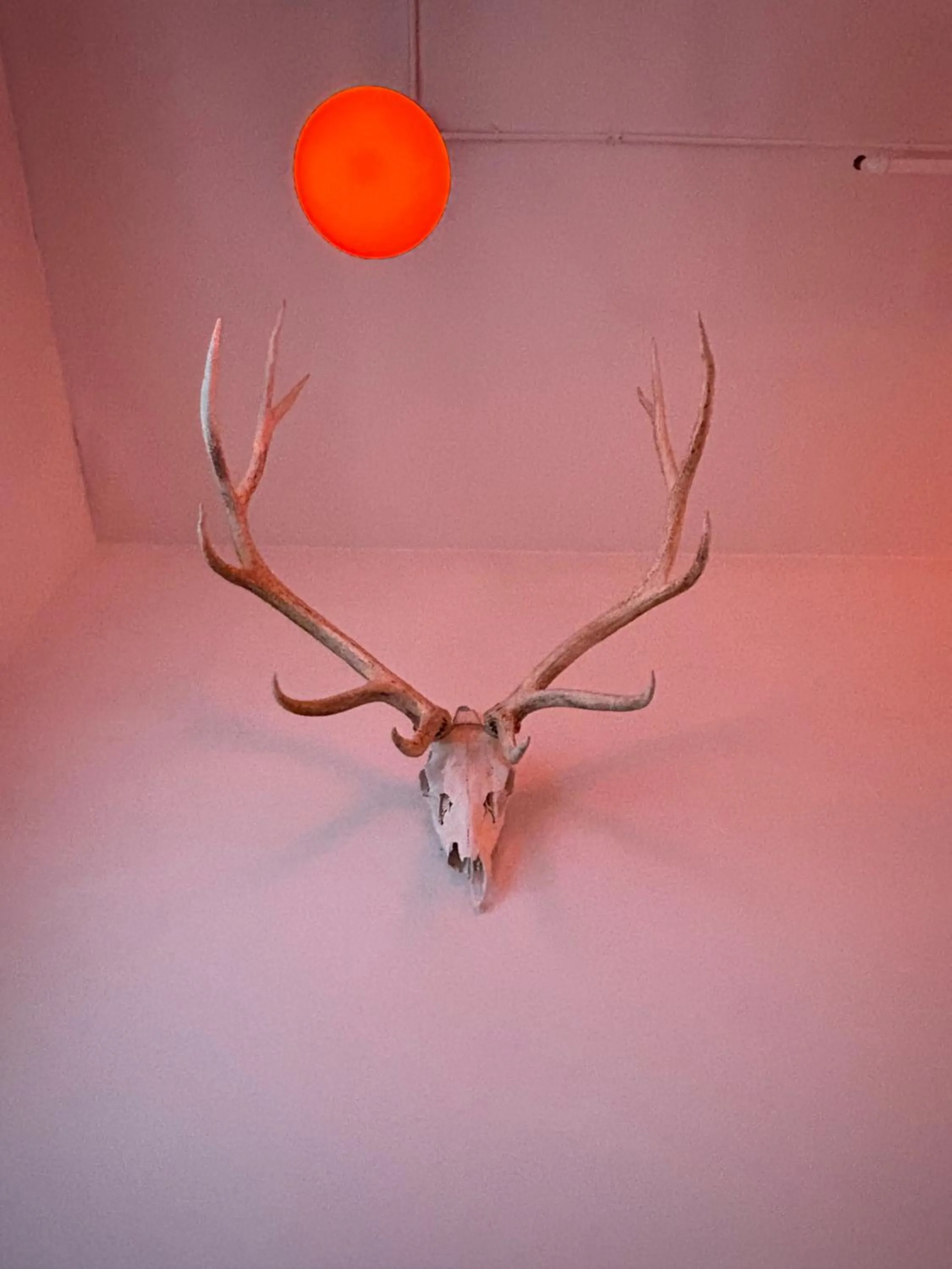 Decorative detail in Ace Hotel Seattle