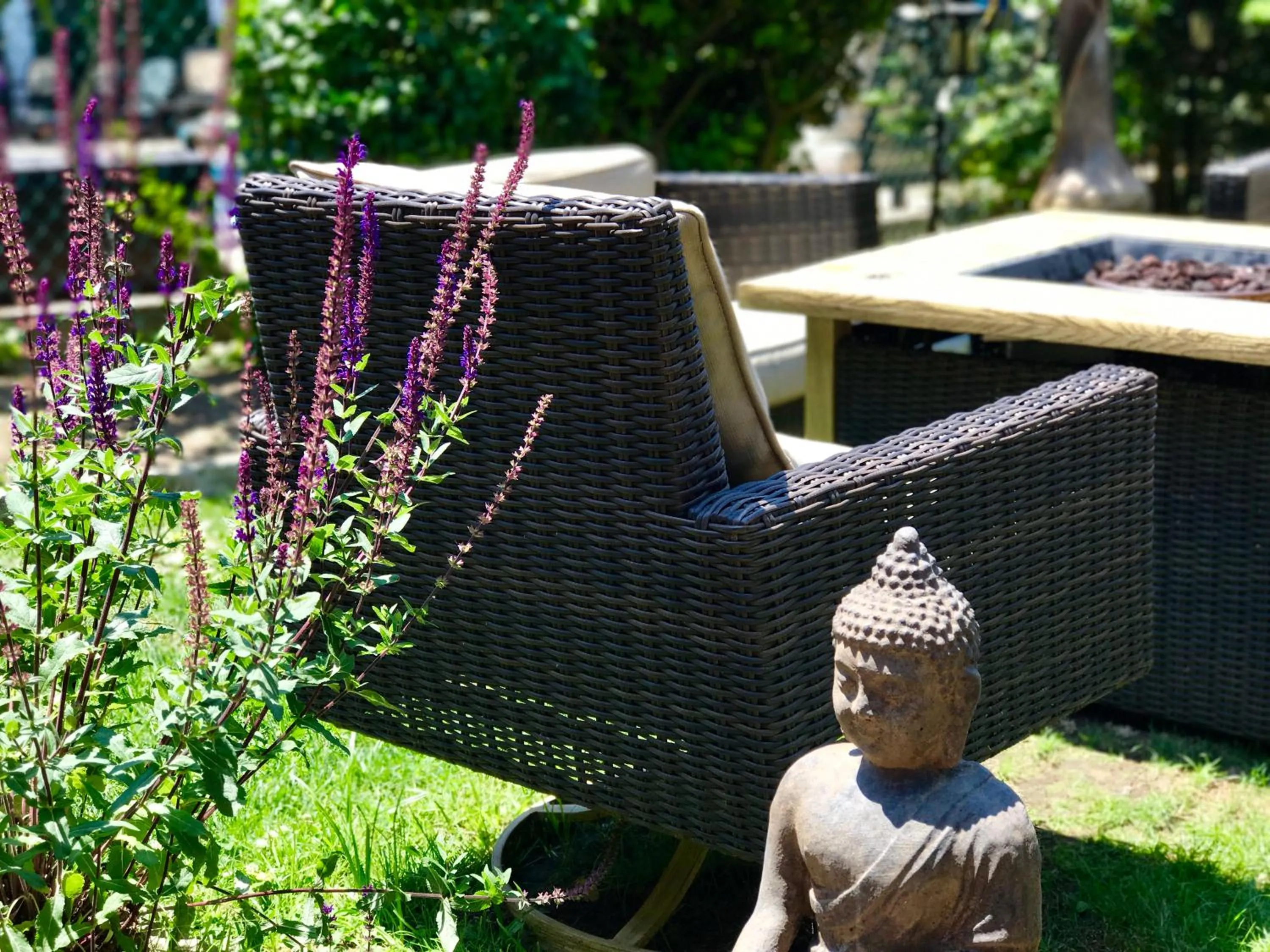 Garden in Kenny's Tipperary Inn