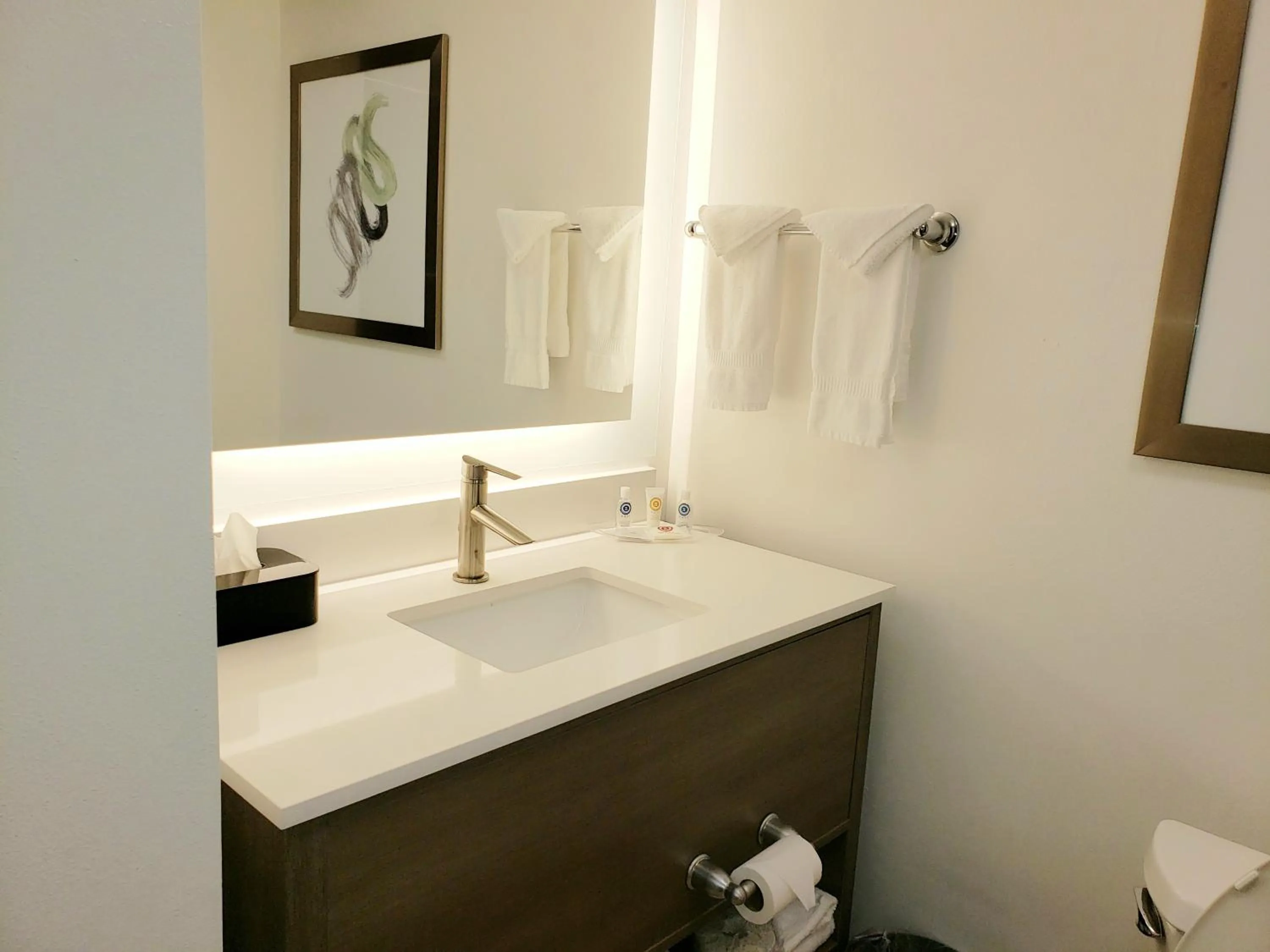 Bathroom in Comfort Suites Valdosta Mall Area