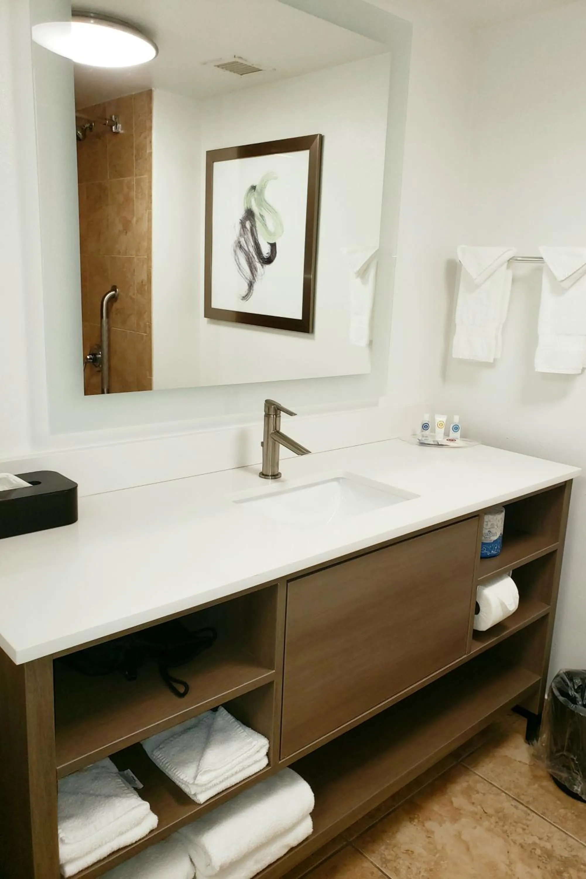 Bathroom in Comfort Suites Valdosta Mall Area