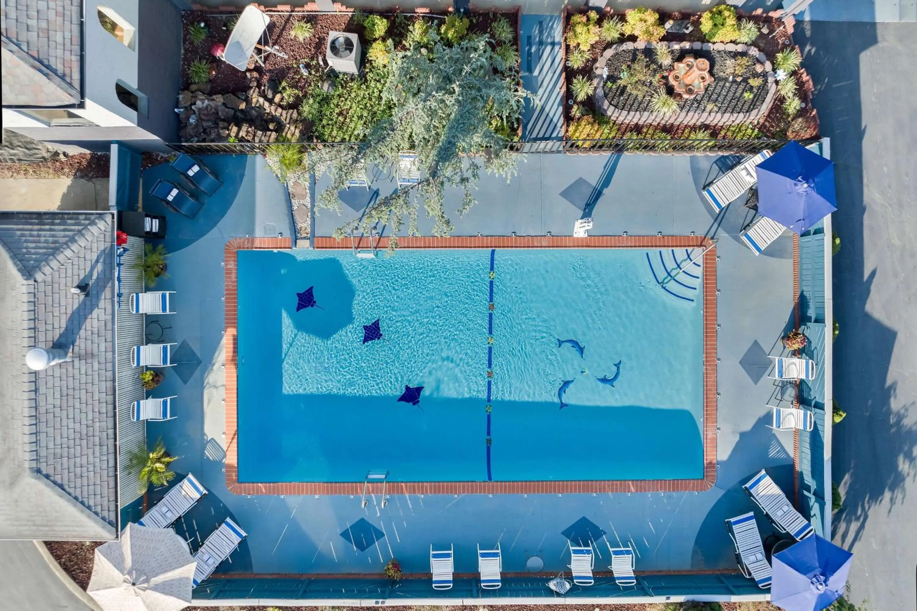 Pool view in Best Western Corbin Inn