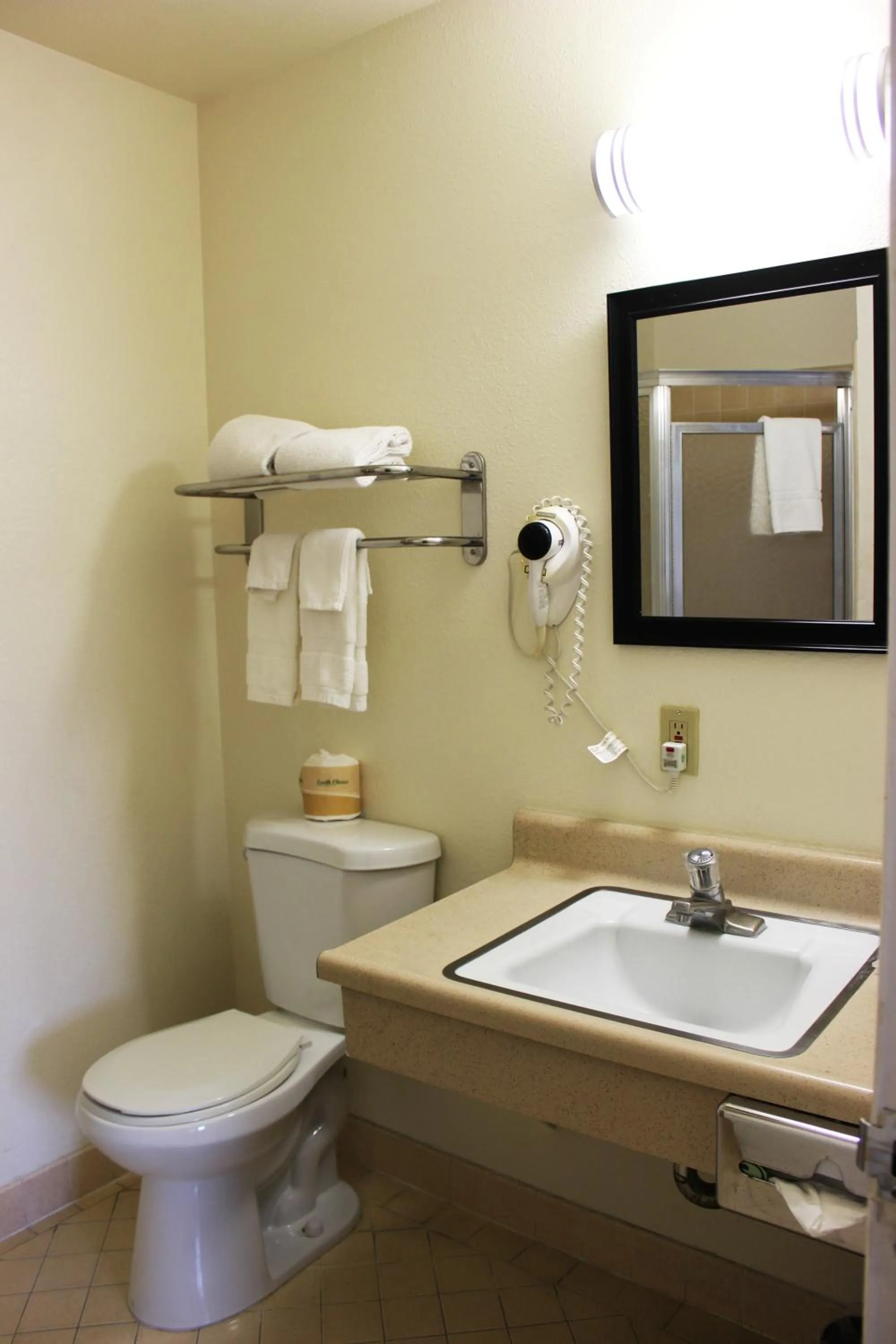 Bathroom in Rodeway Inn Near University-Gateway to Yosemite