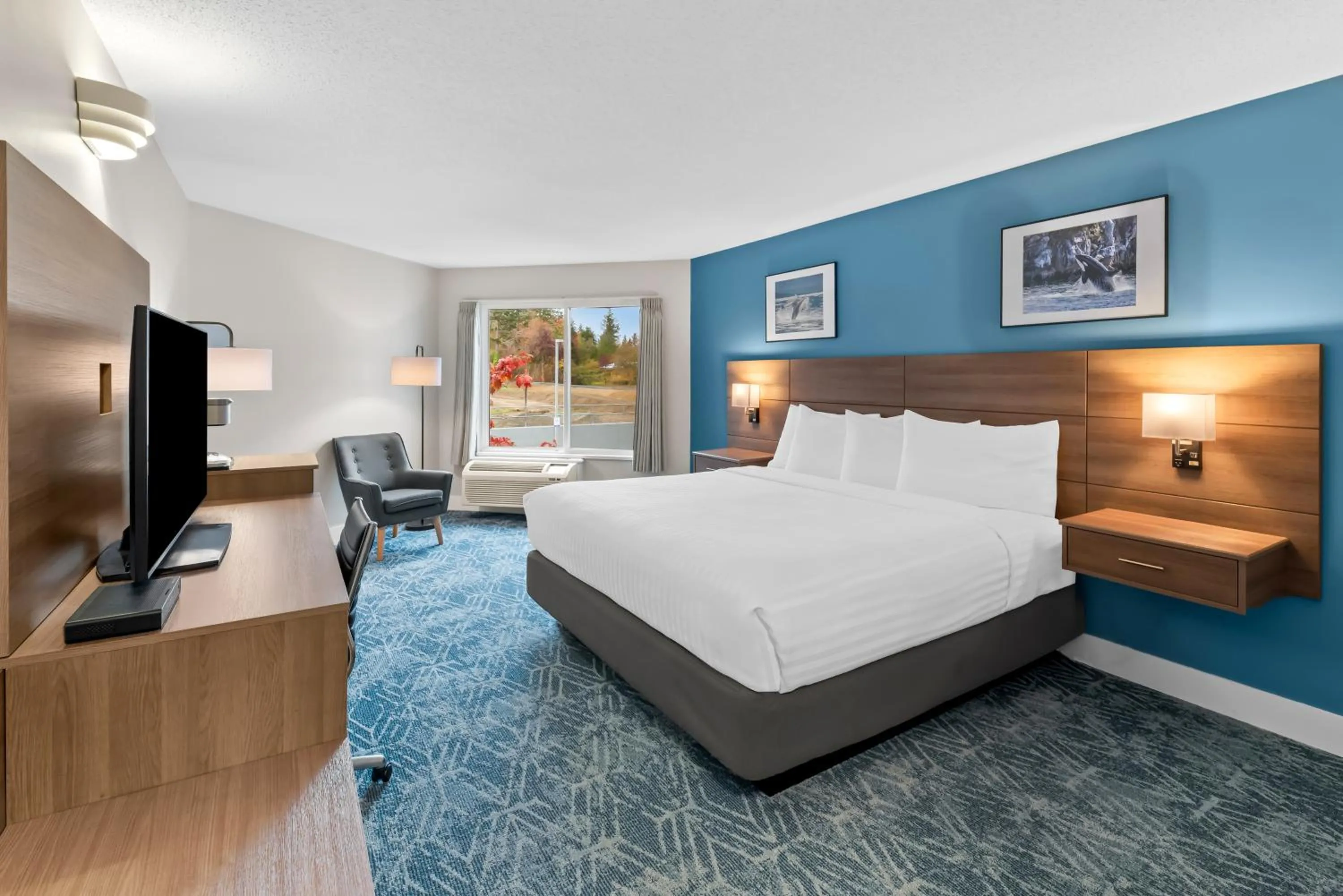 Bed in Travelodge by Wyndham Parksville
