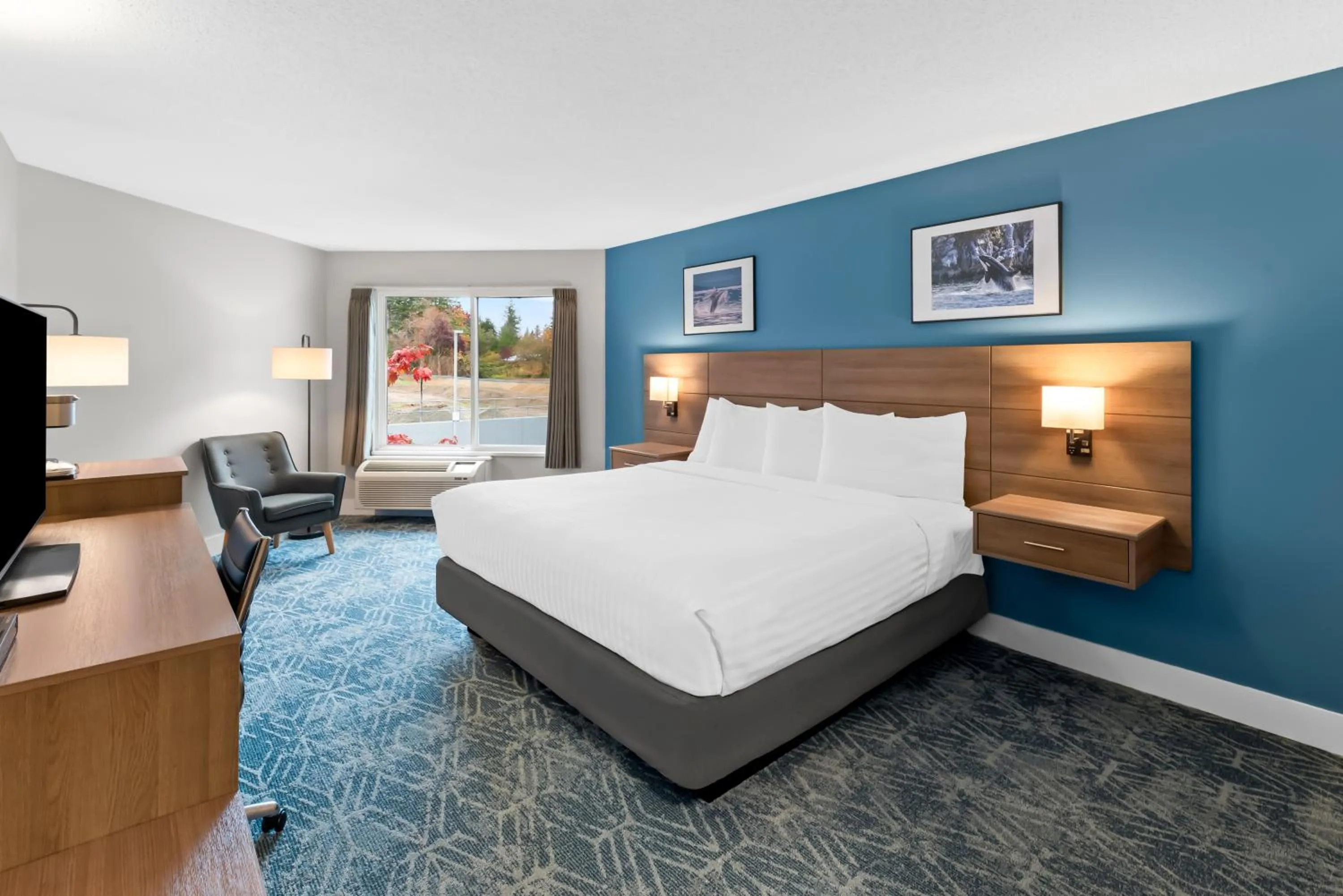 Bed in Travelodge by Wyndham Parksville