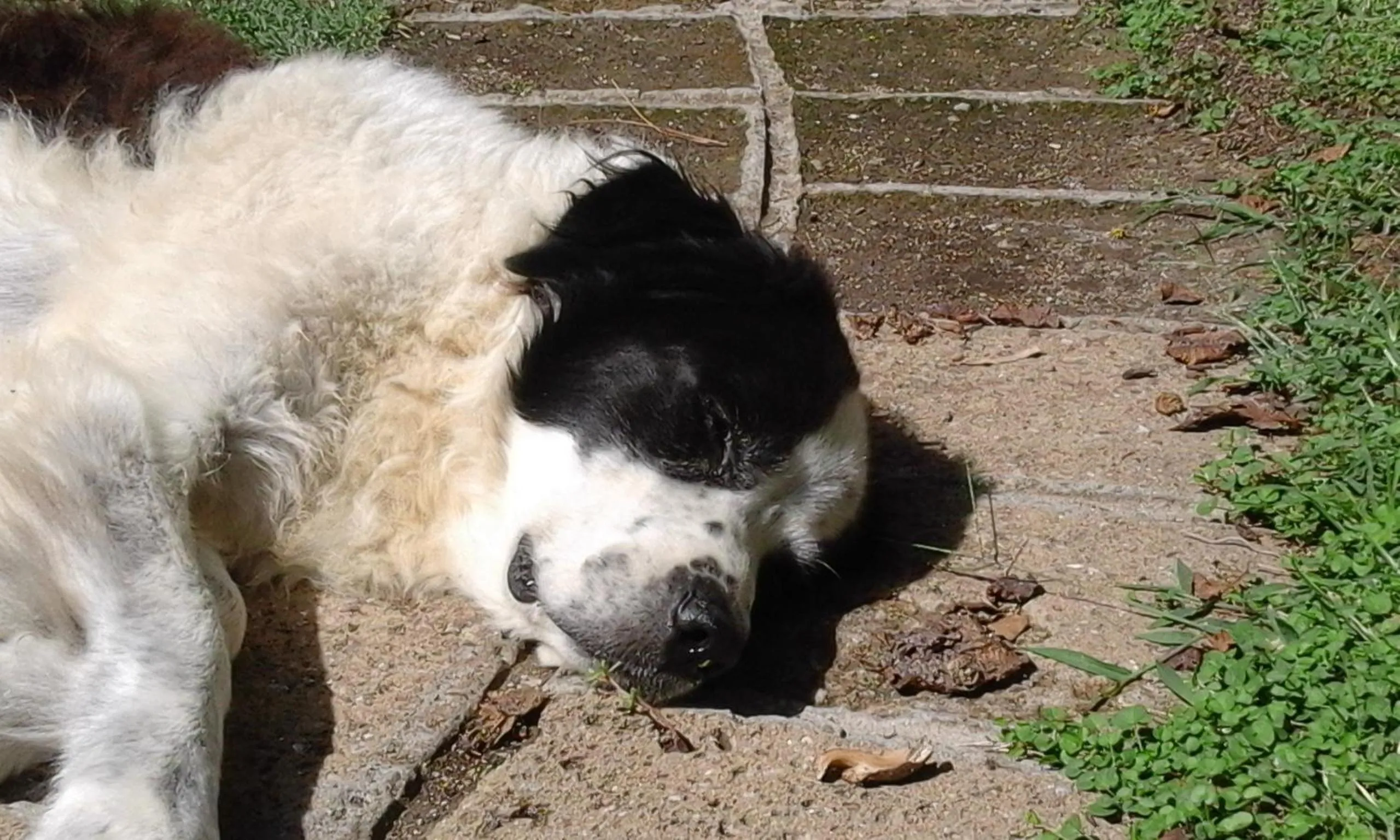Staff in Poderi di Tragliatella