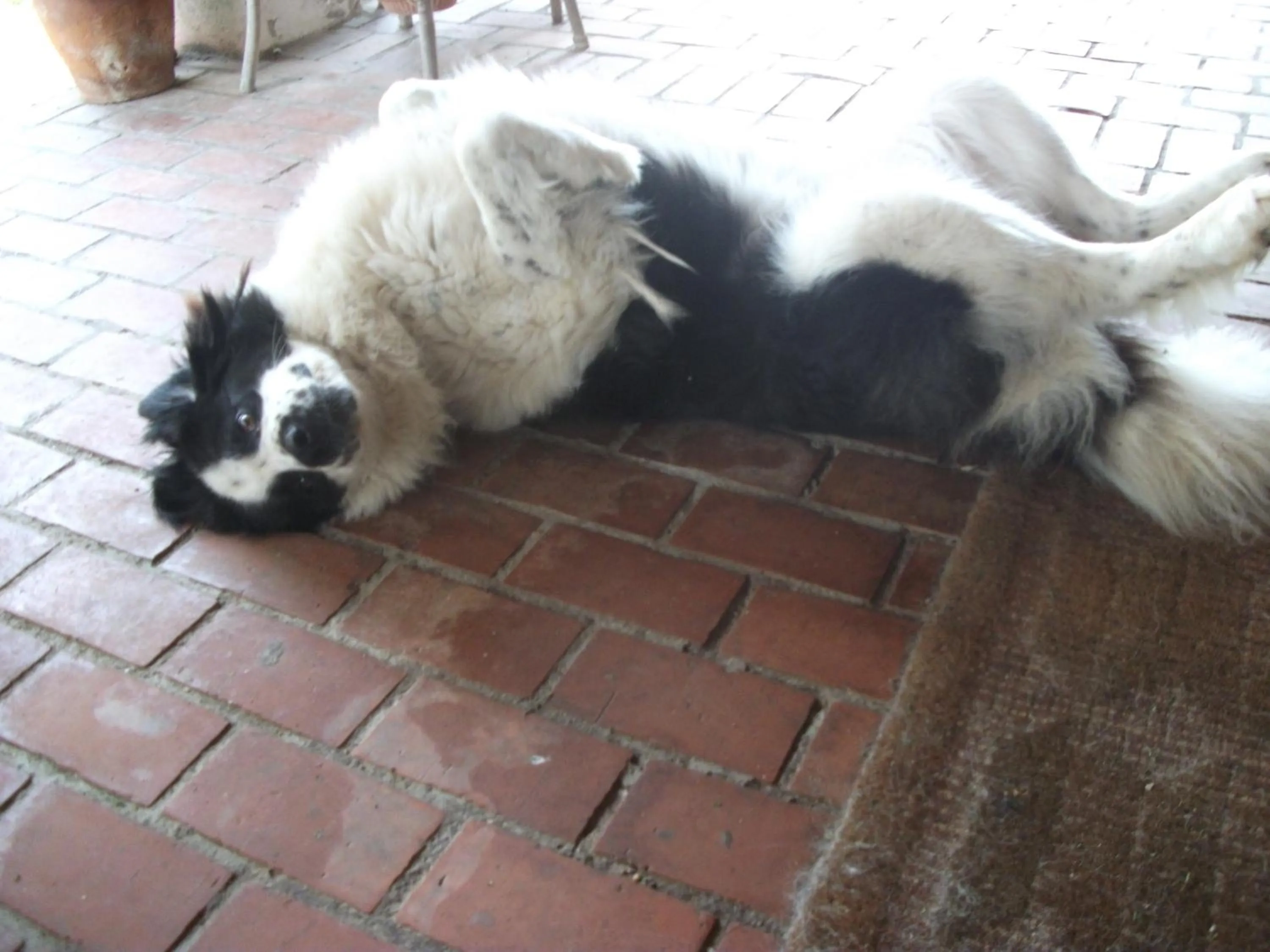 Staff in Poderi di Tragliatella