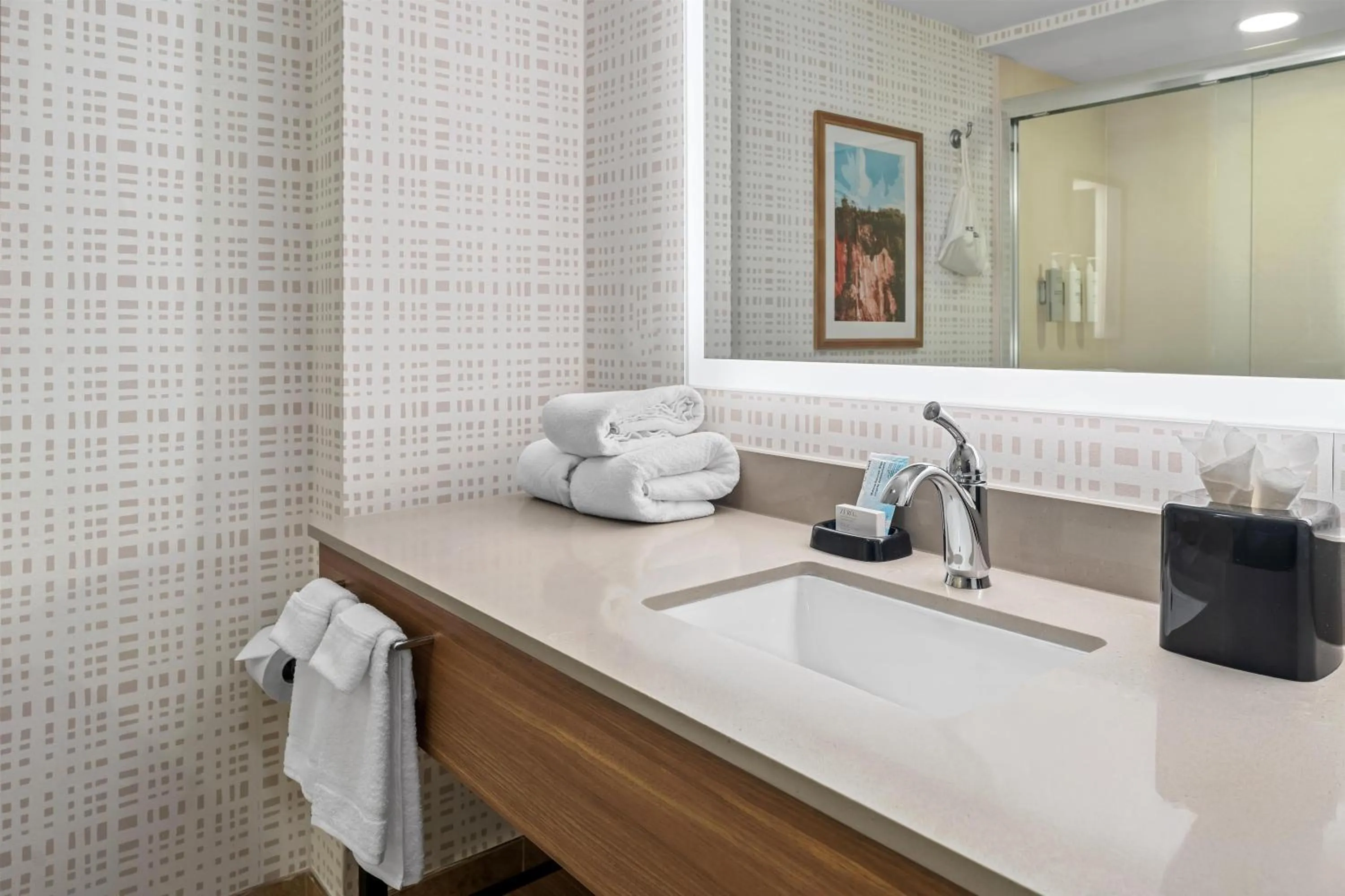 Bathroom in Hampton Inn & Suites Tifton