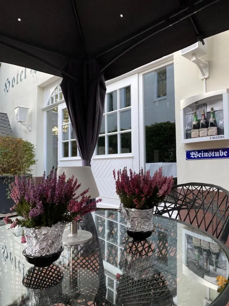 Patio in Hotel Hagspihl