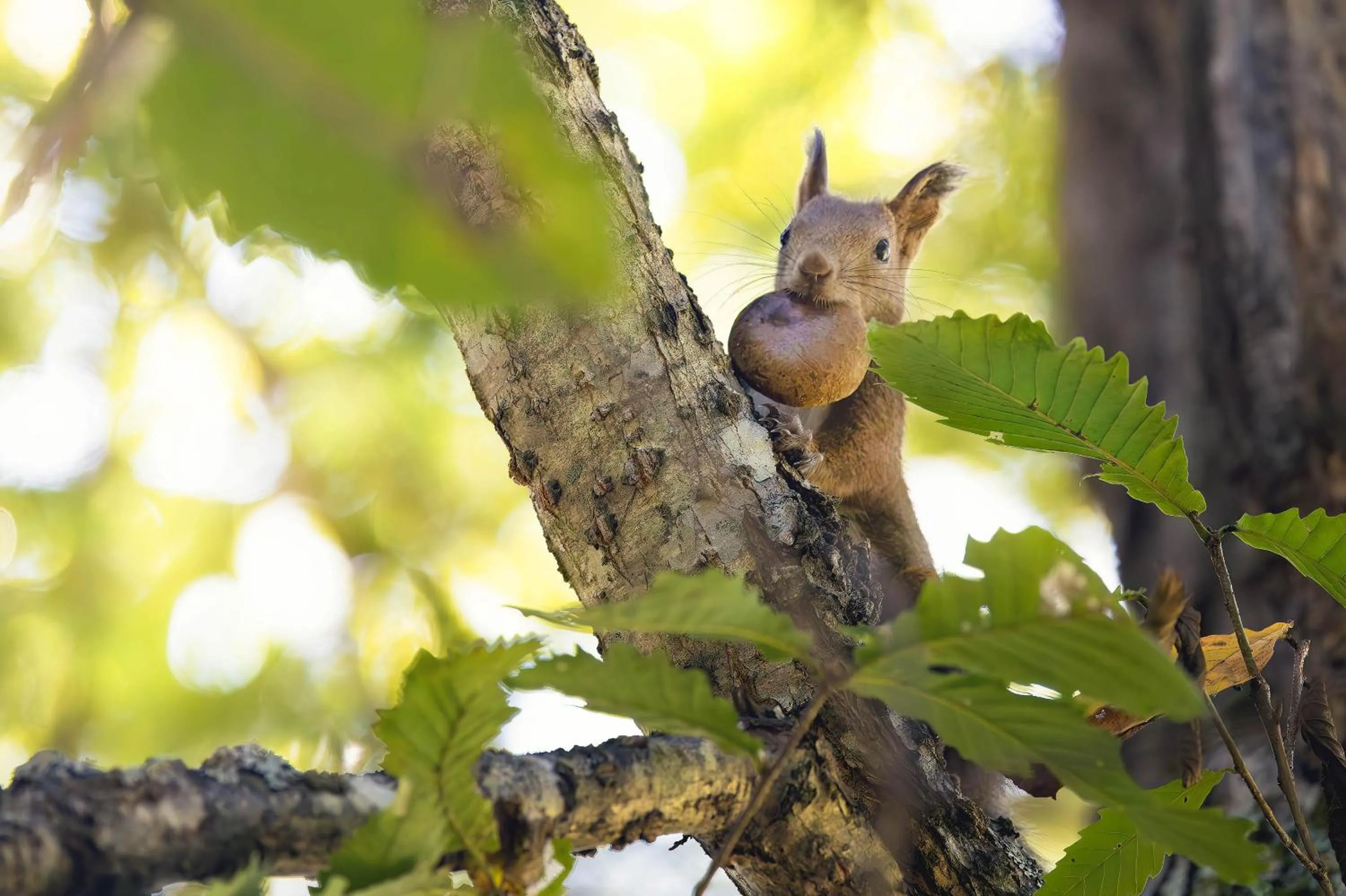 Natural landscape in Hotel Edel Warme