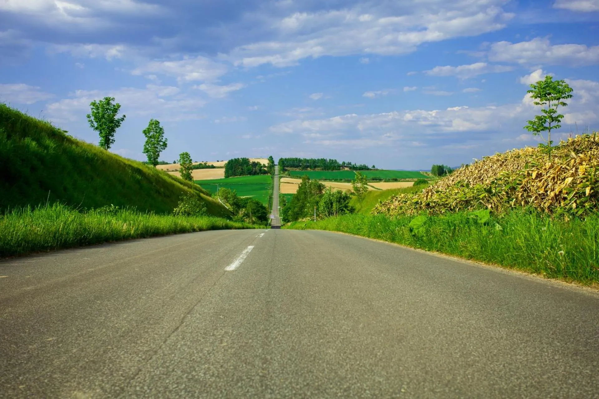 Natural landscape in Hotel Edel Warme