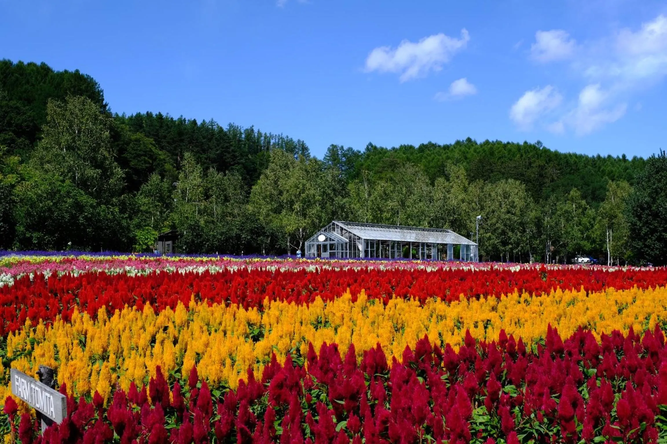 Natural landscape in Hotel Edel Warme
