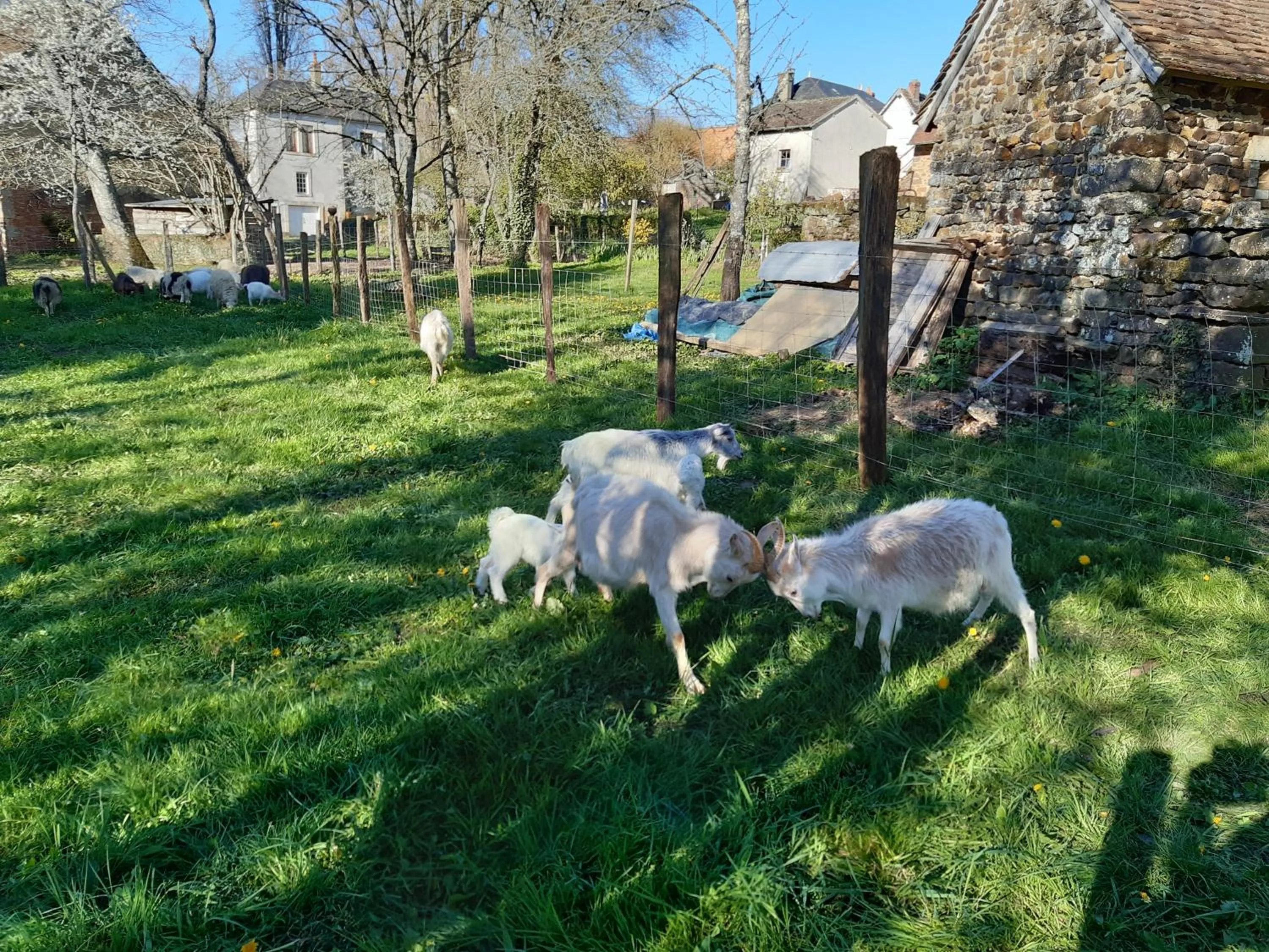 Garden in La Treille