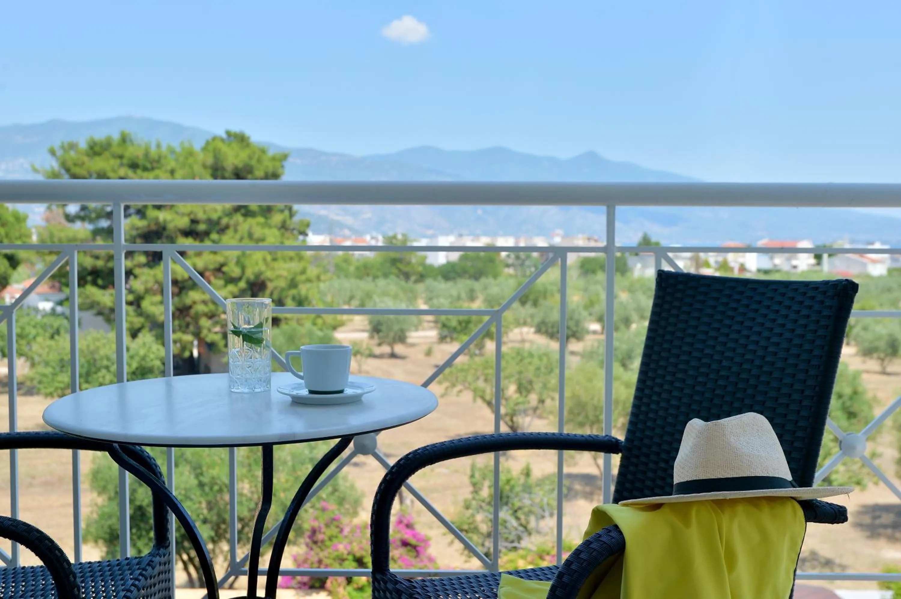 Balcony/Terrace in Hotel Kalloni