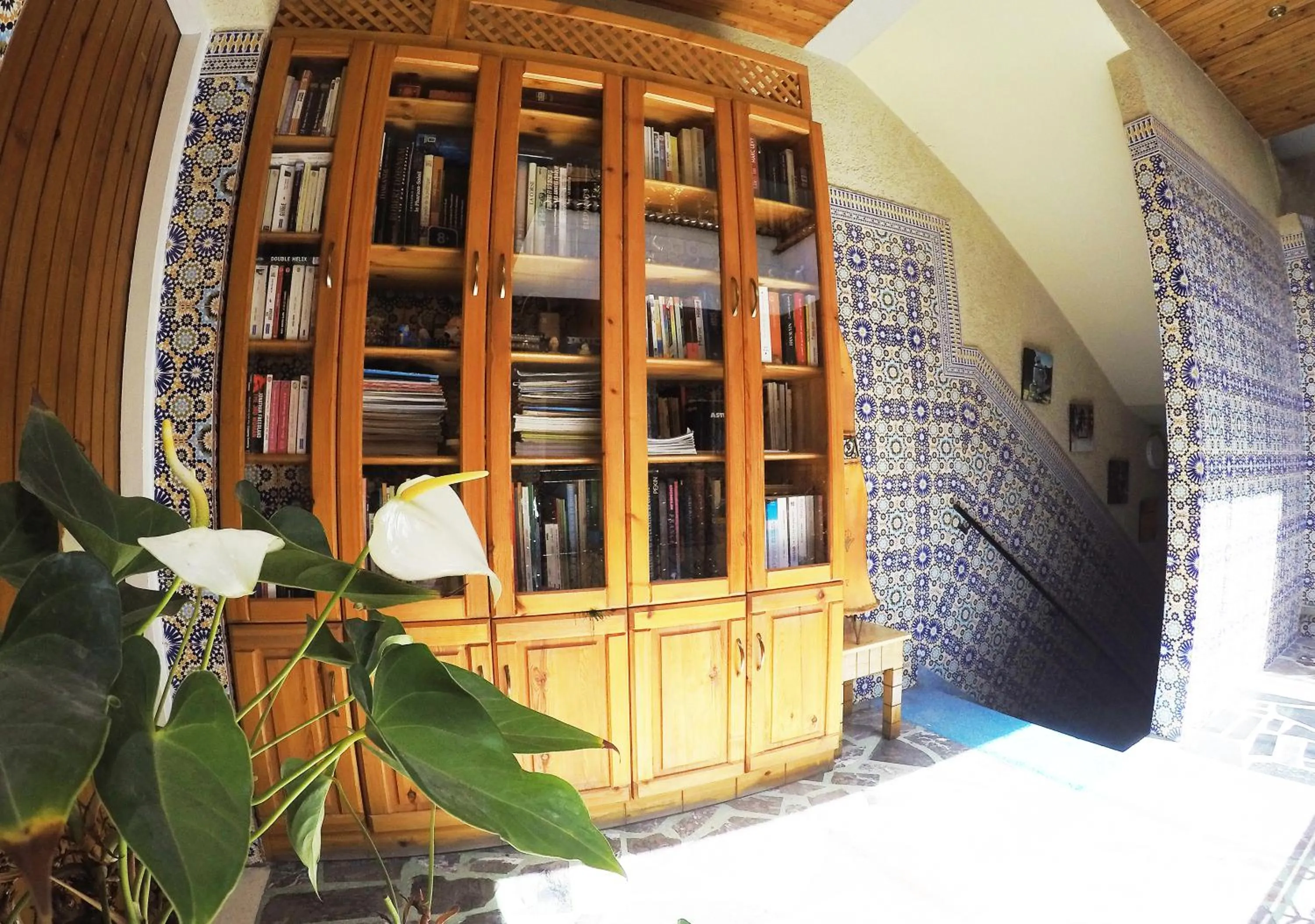 Library in Riad Les Chtis D'Agadir