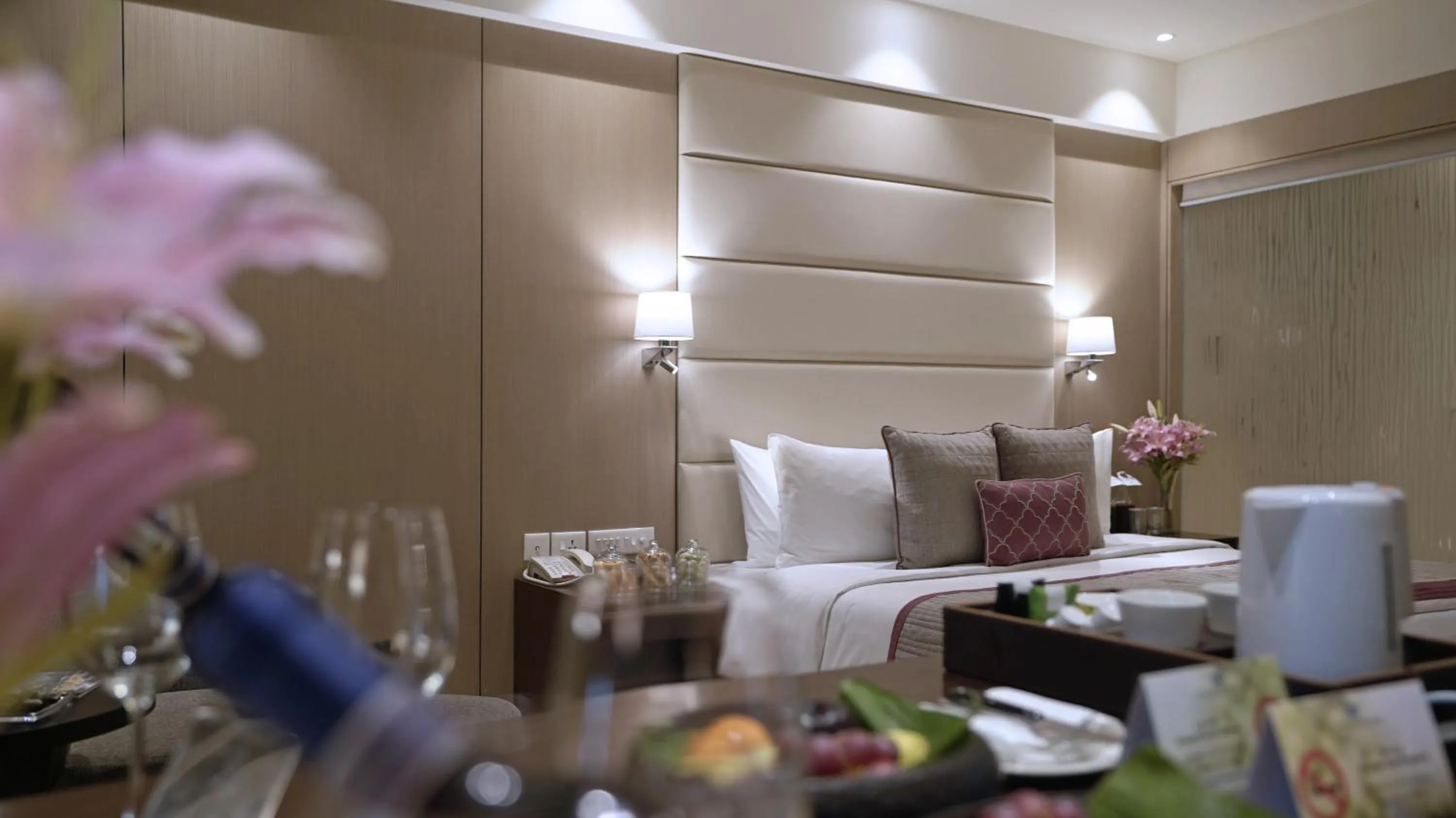 Living room in Jaypee Siddharth