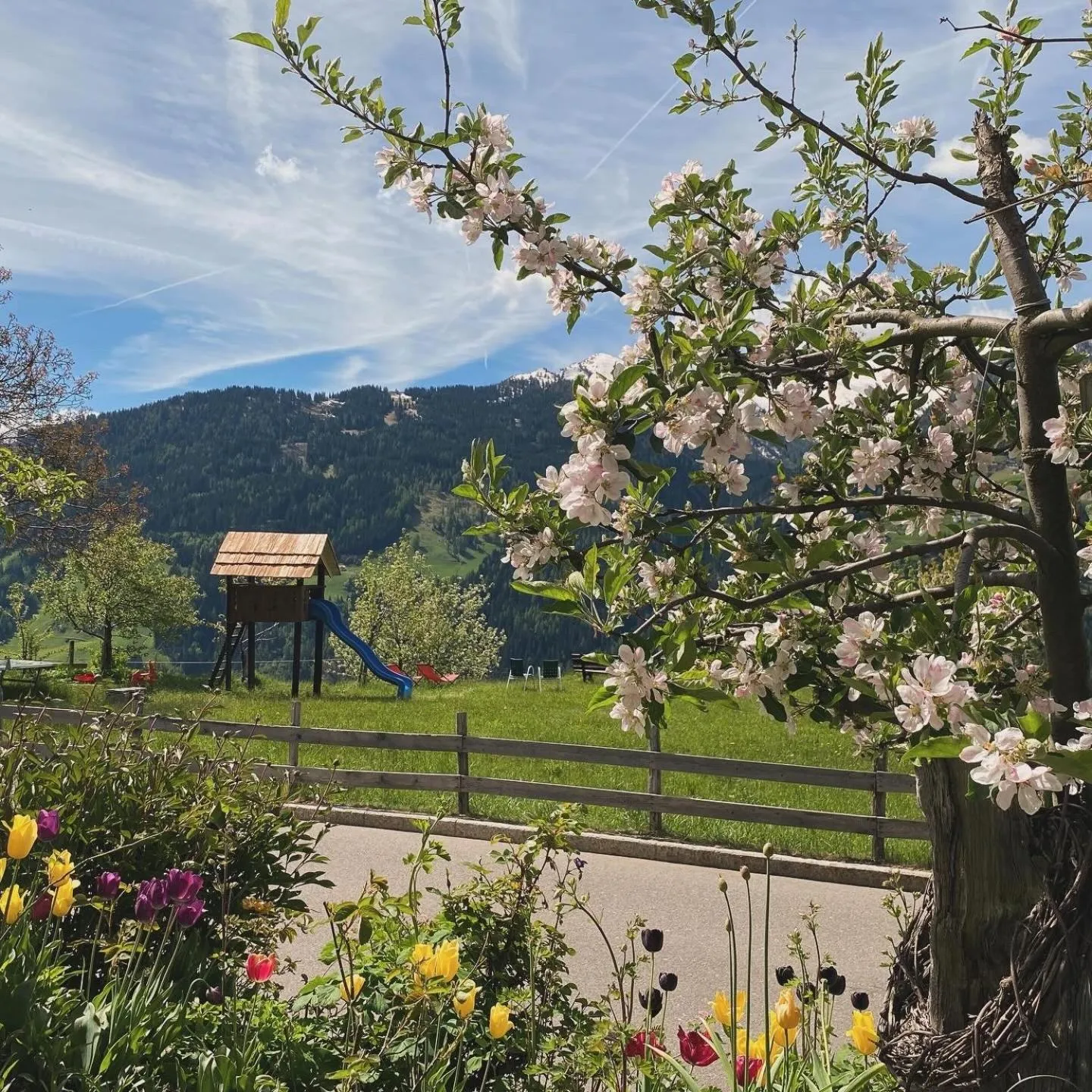 Garden in Hotel Alpenland