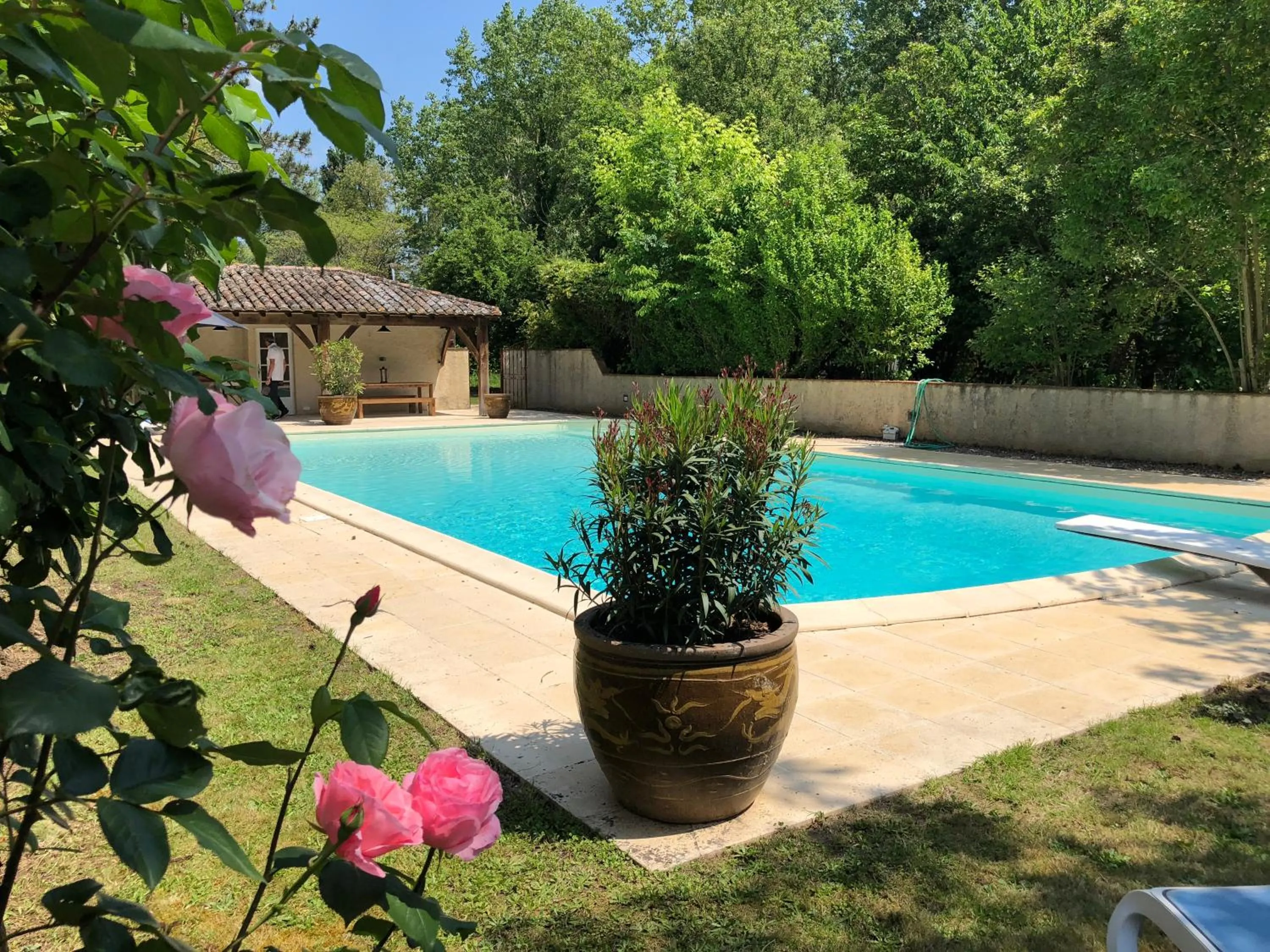 Swimming pool in Domaine des Monges