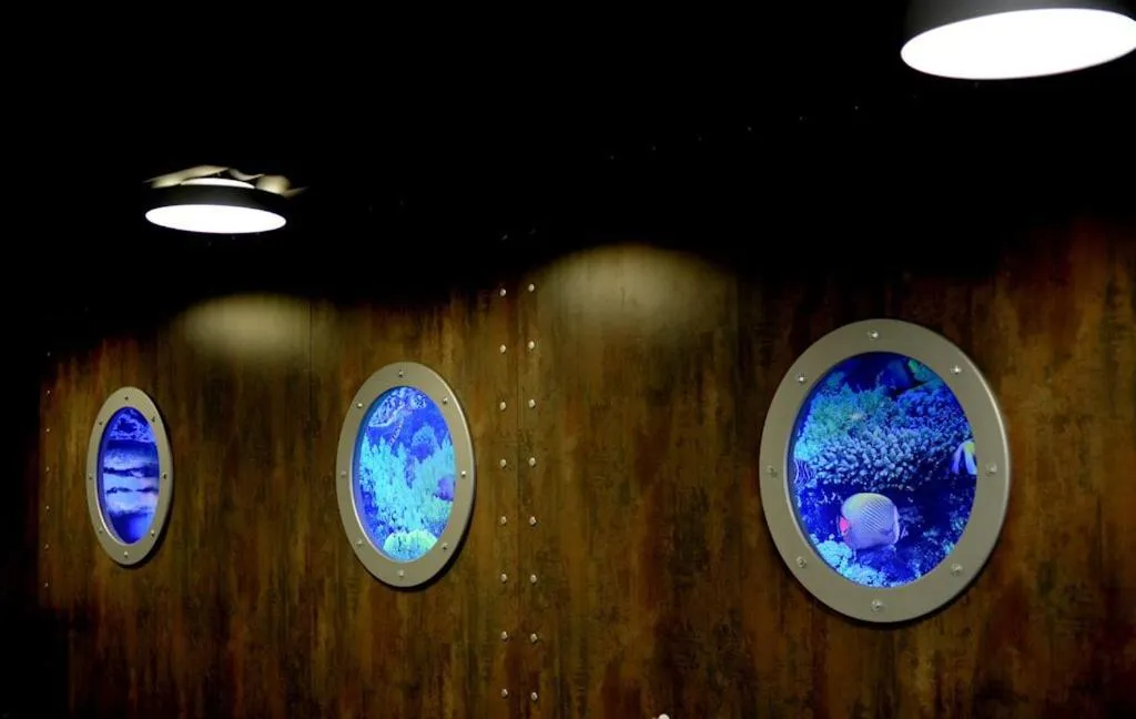 Nightclub / DJ in Baltic Plaza Hotel Medi Spa