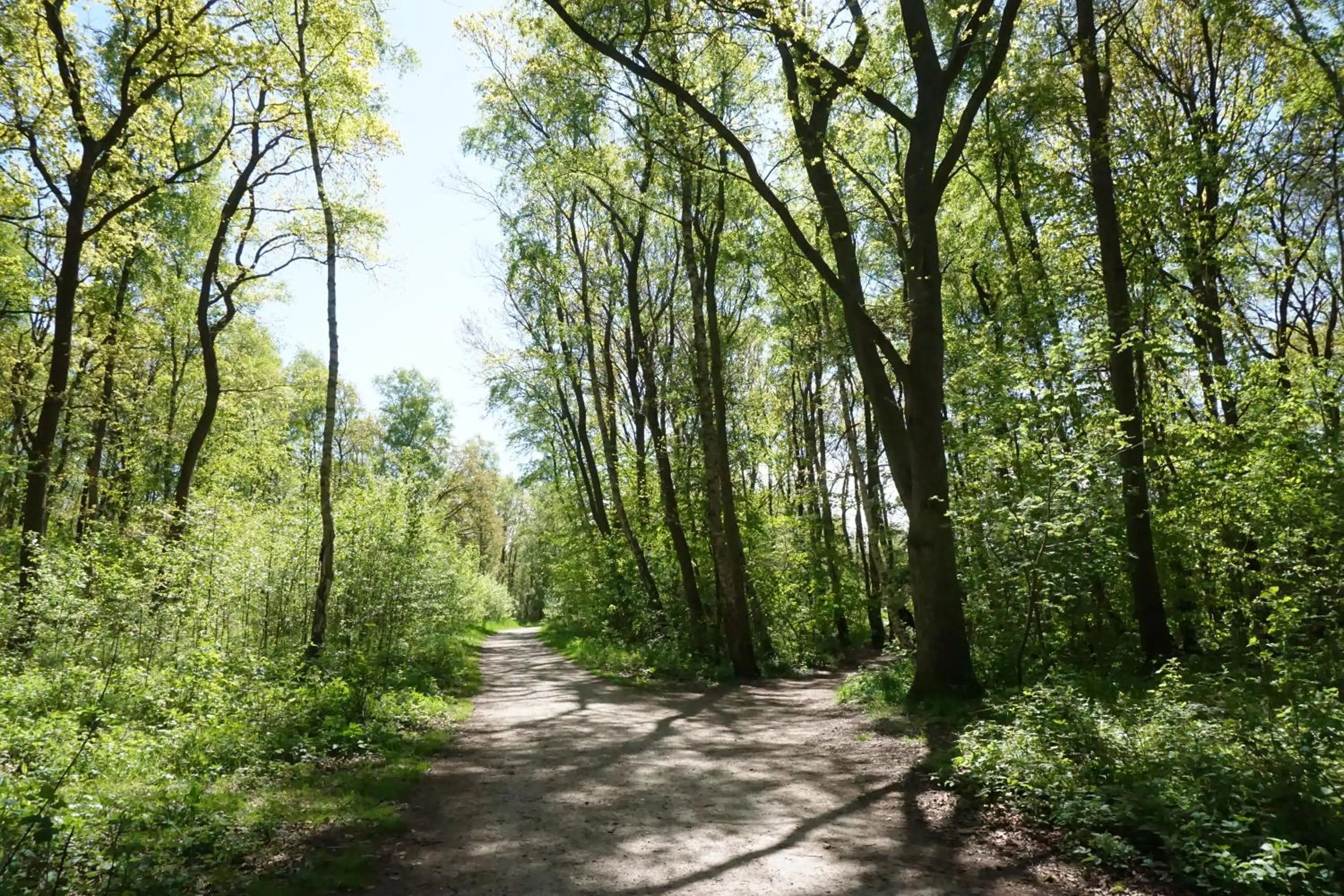 Spring in Baltic Plaza Hotel Medi Spa