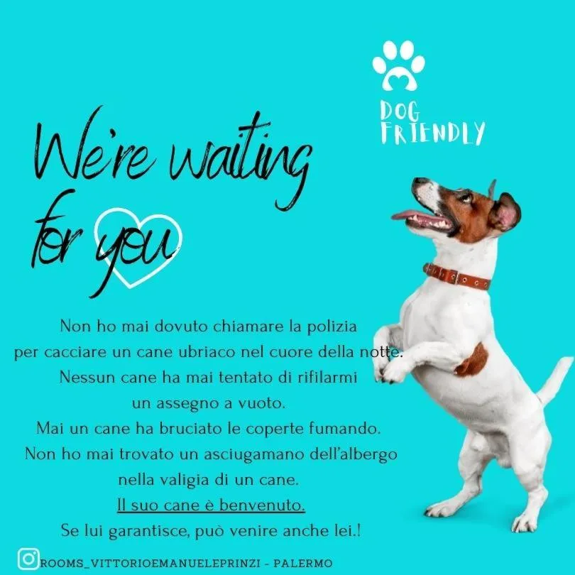 Pets in Vittorio Emanuele Rooms di Prinzi