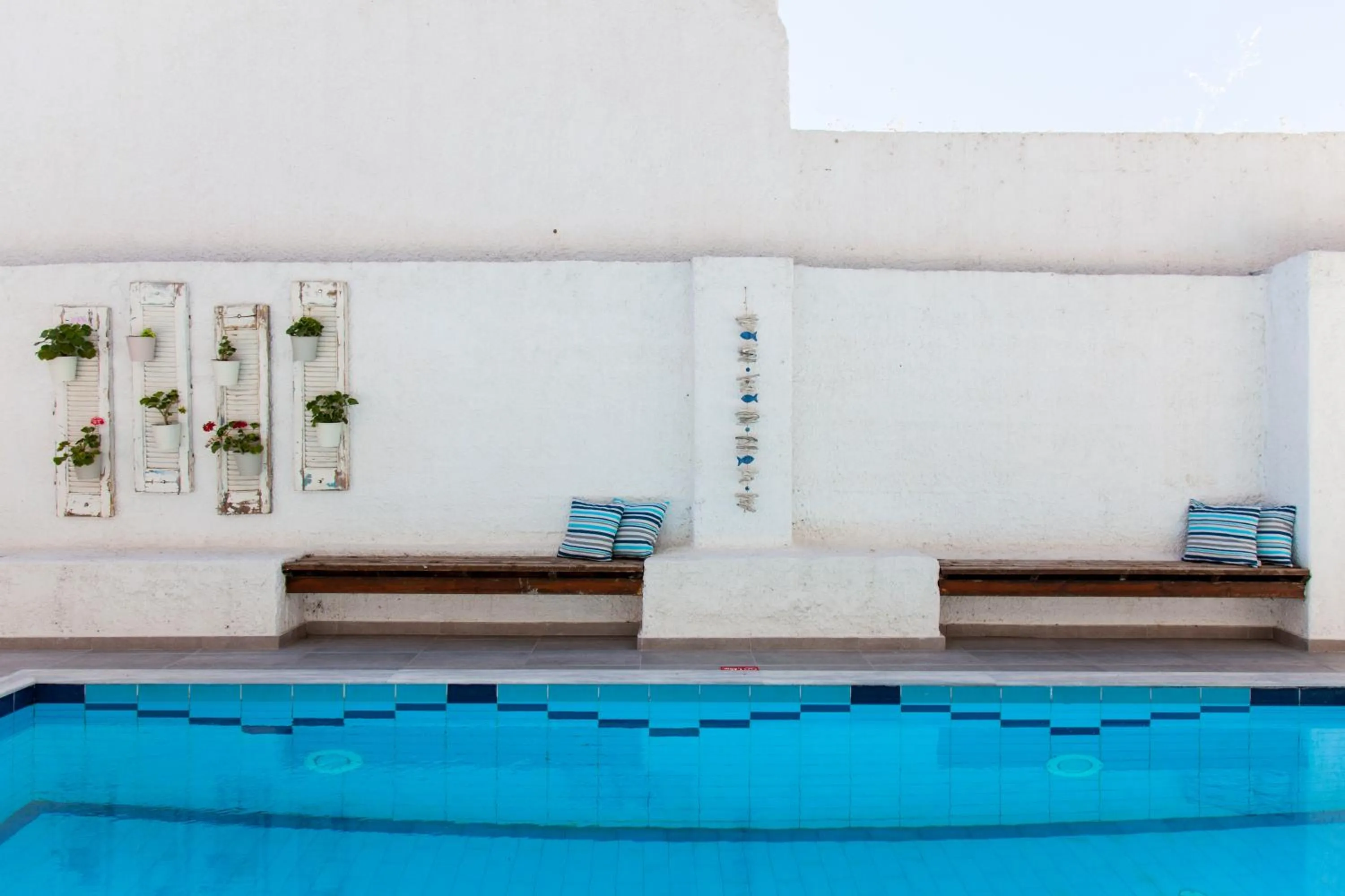 Swimming pool in Elychryson