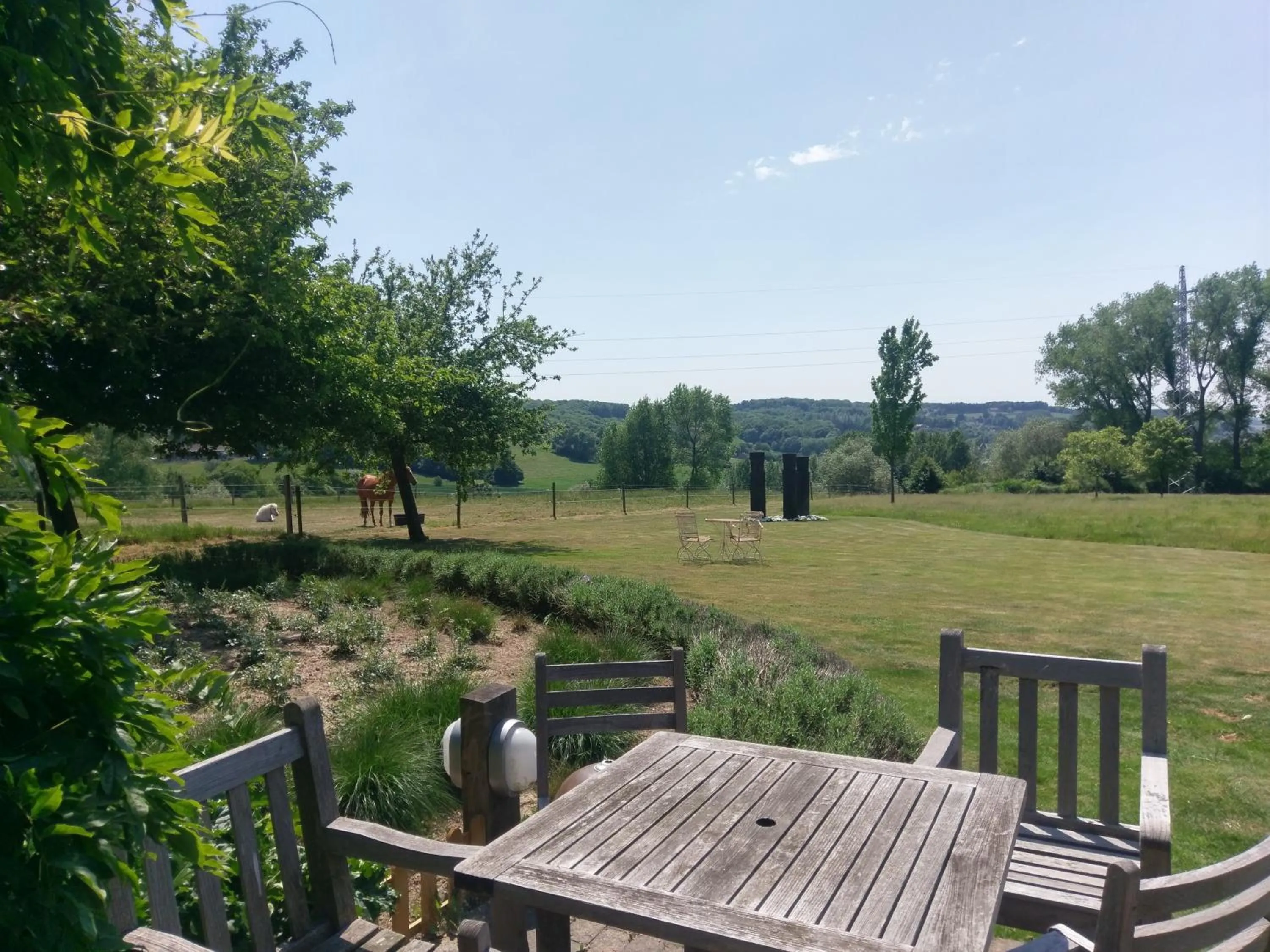 Day in La Petite Bruyere De Renaix