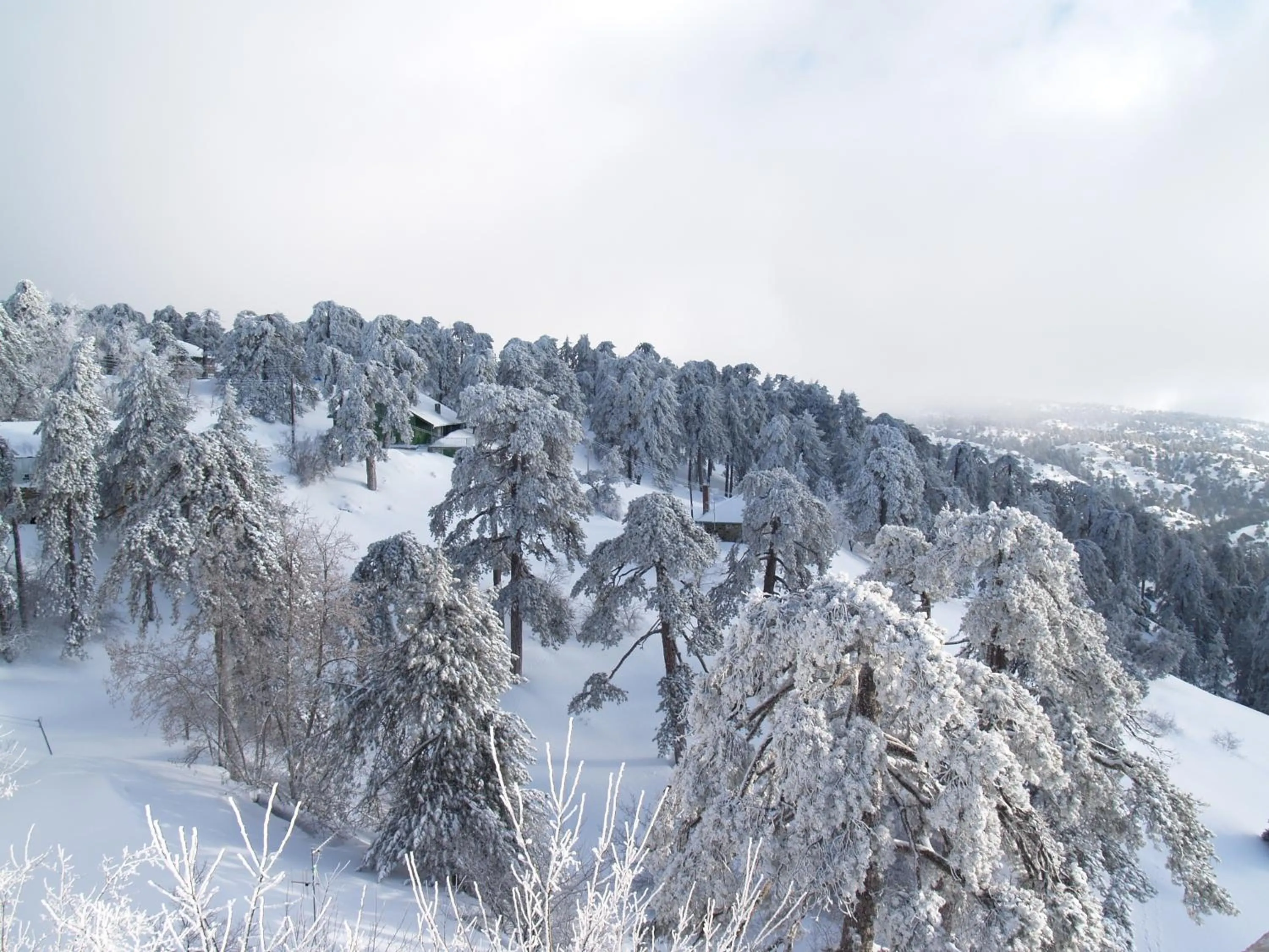 View (from property/room) in Troodos Hotel & Spa