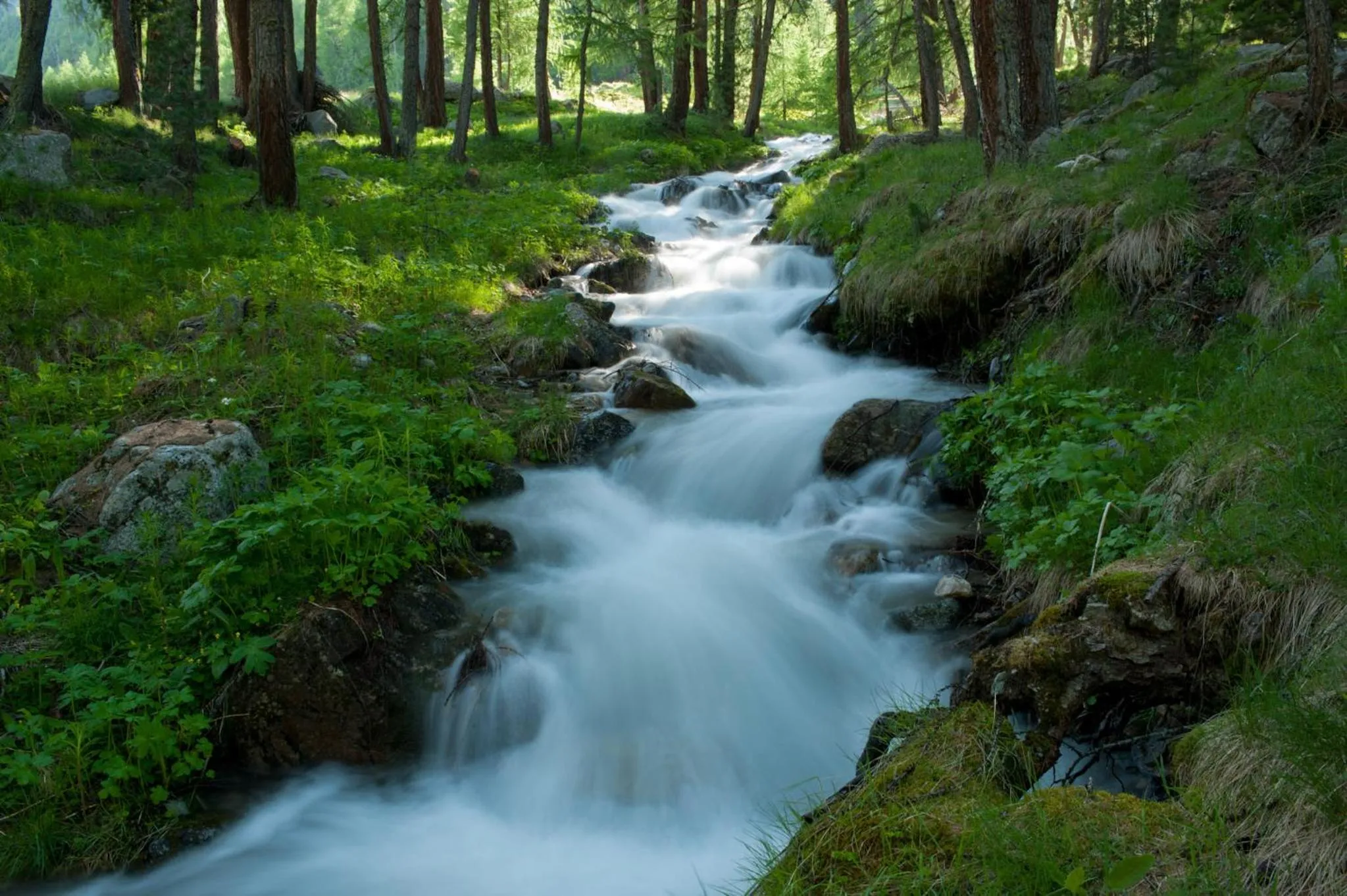 Natural landscape in Hotel Galli