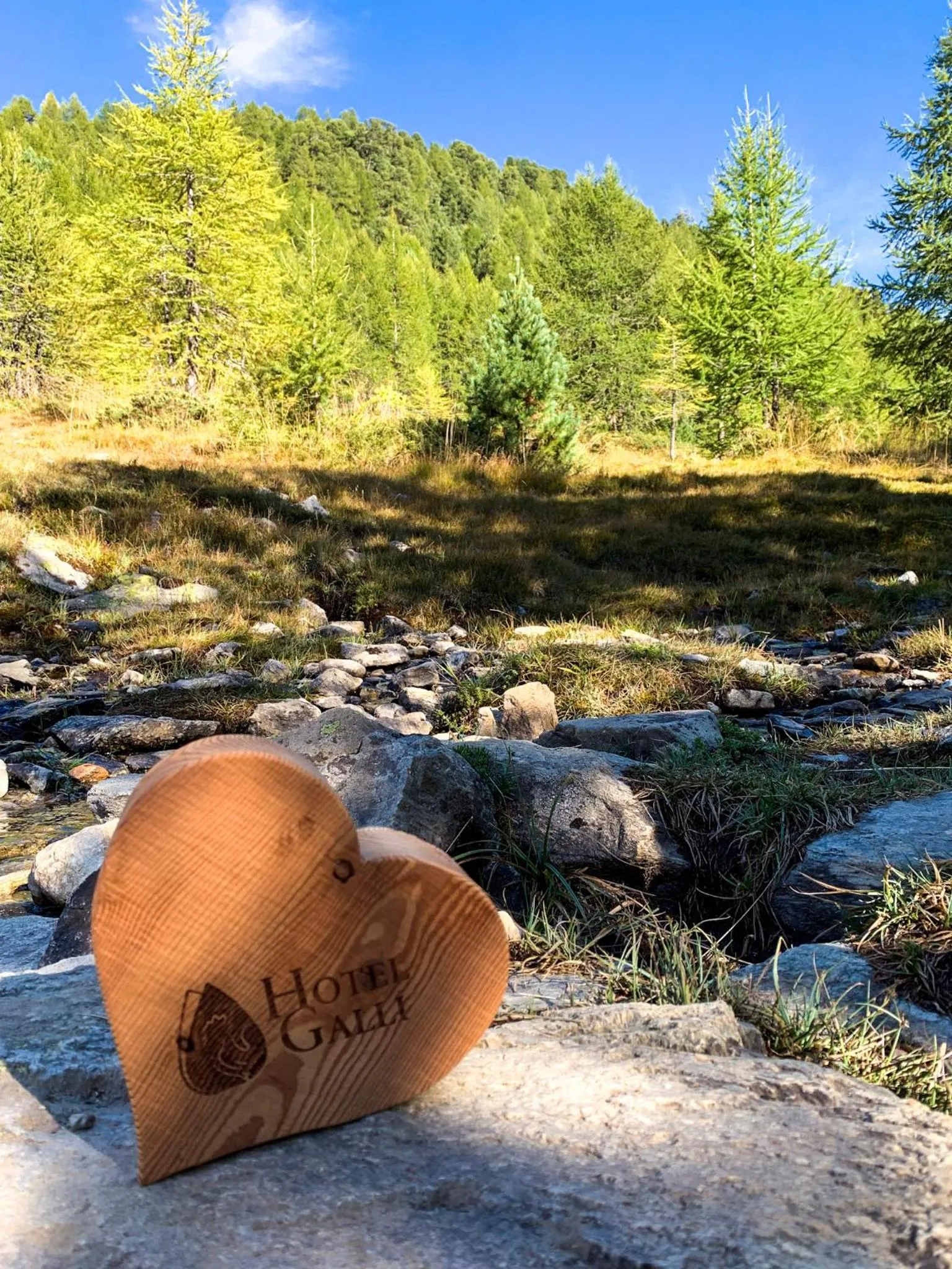 Natural landscape in Hotel Galli