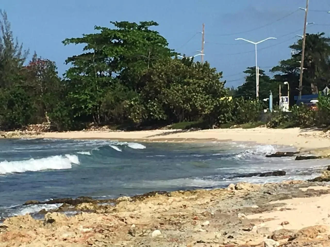 Natural landscape in Family Complex beside Beach w/Pool Montego Bay #2