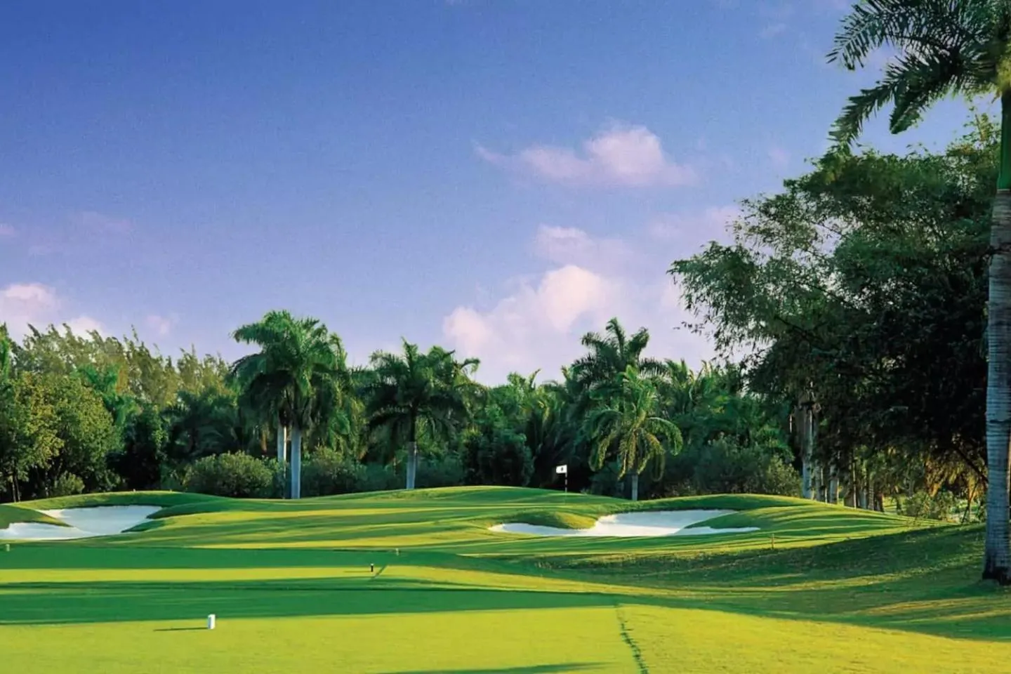 Golfcourse in Family Complex beside Beach w/Pool Montego Bay #2