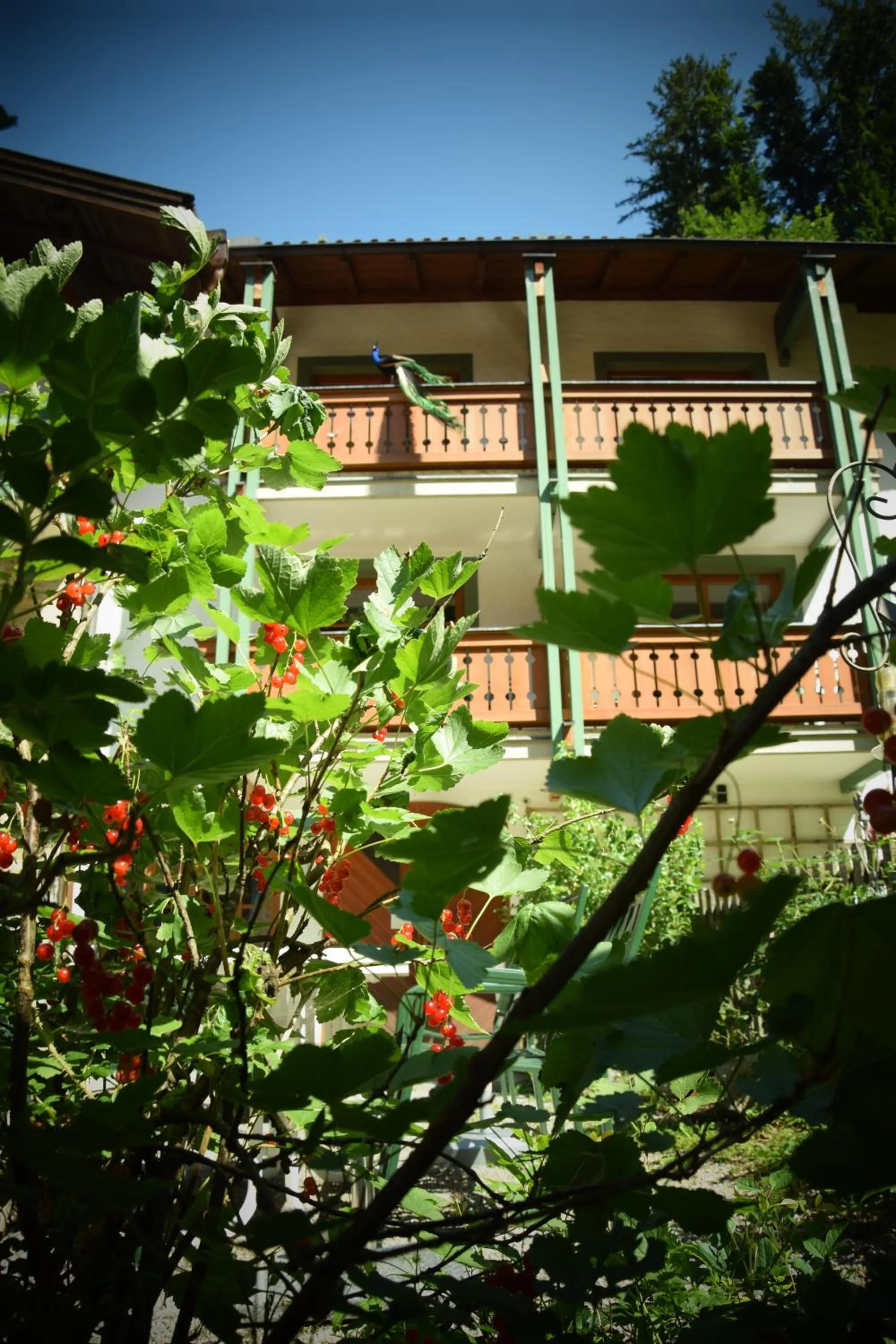 Property building in Naturidyll Hotel Hammerschmiede