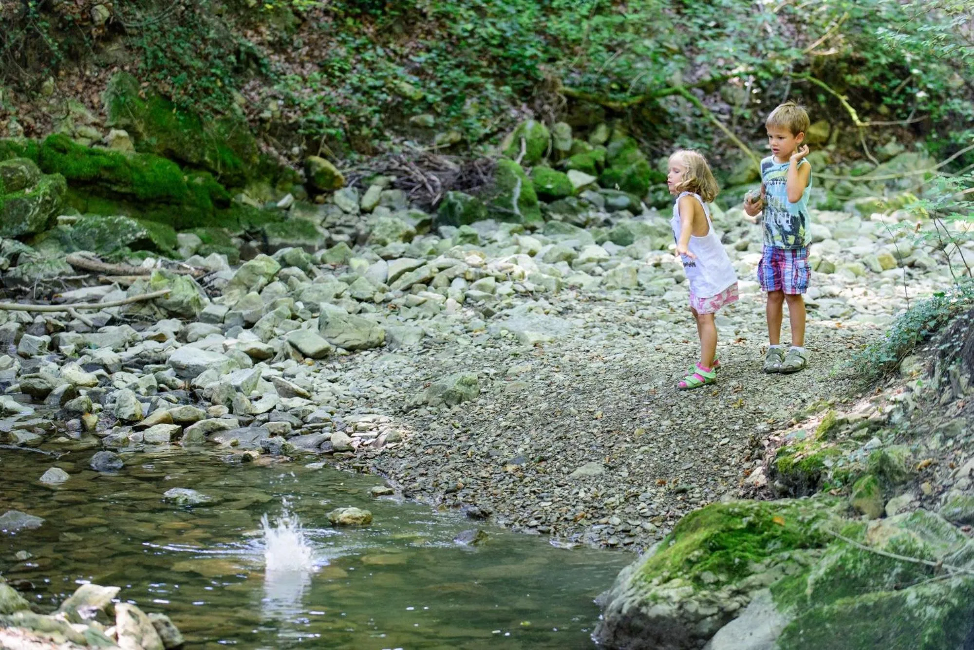 Natural landscape in Naturidyll Hotel Hammerschmiede