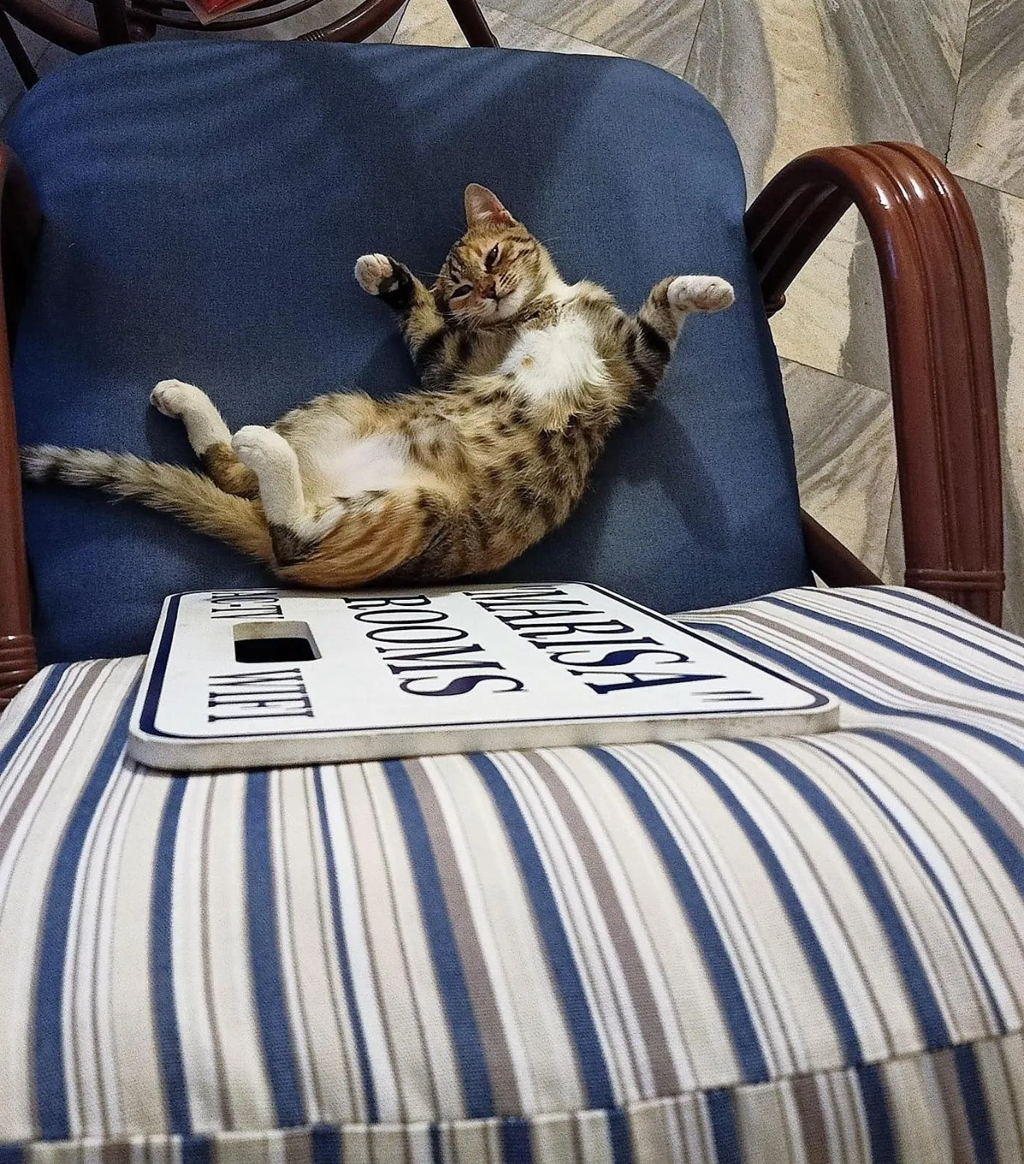 Pets in Marisa Rooms