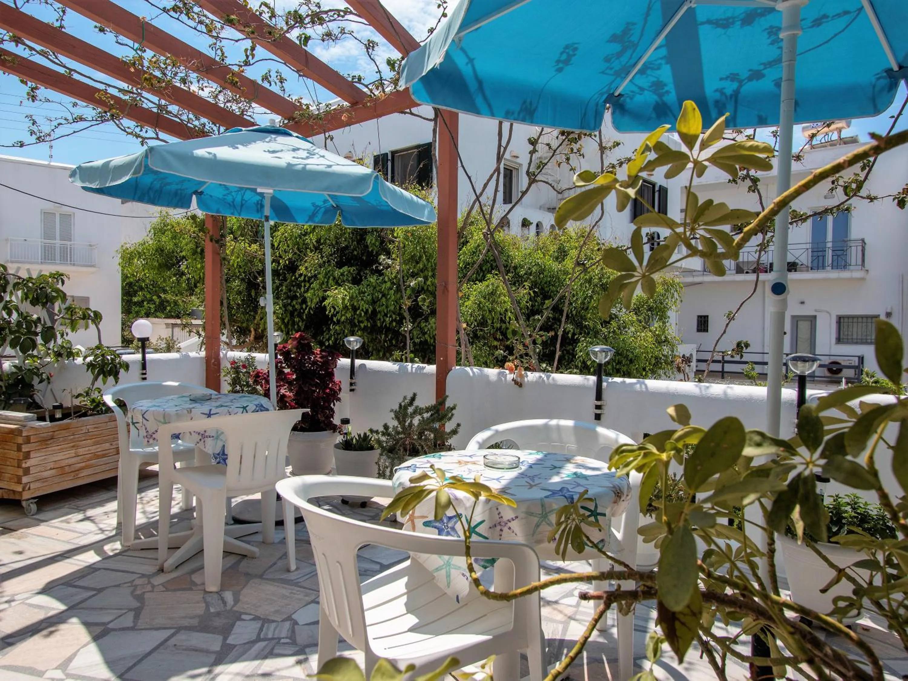 Garden in Marisa Rooms