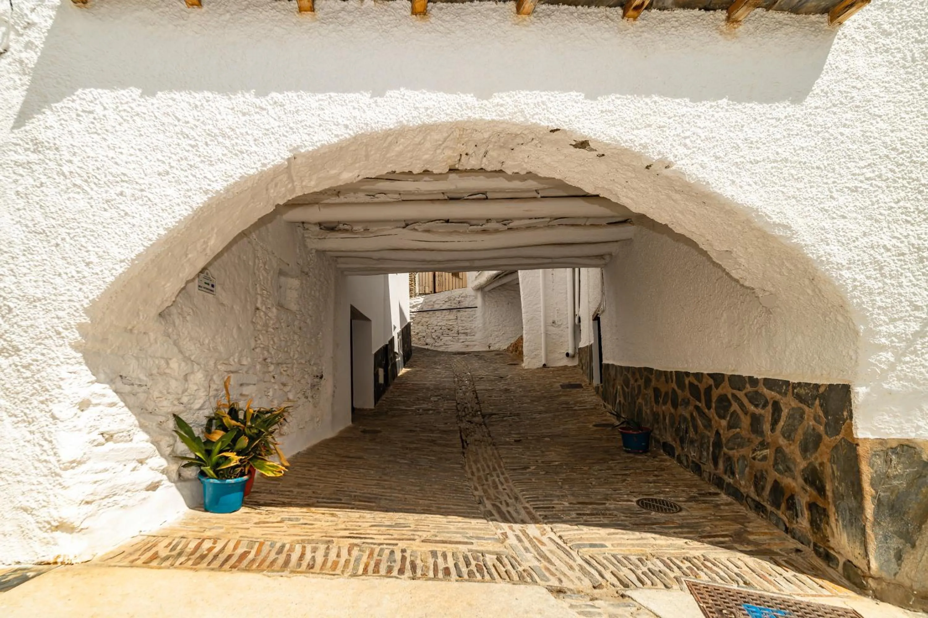 Neighbourhood in Hotel La Fragua I