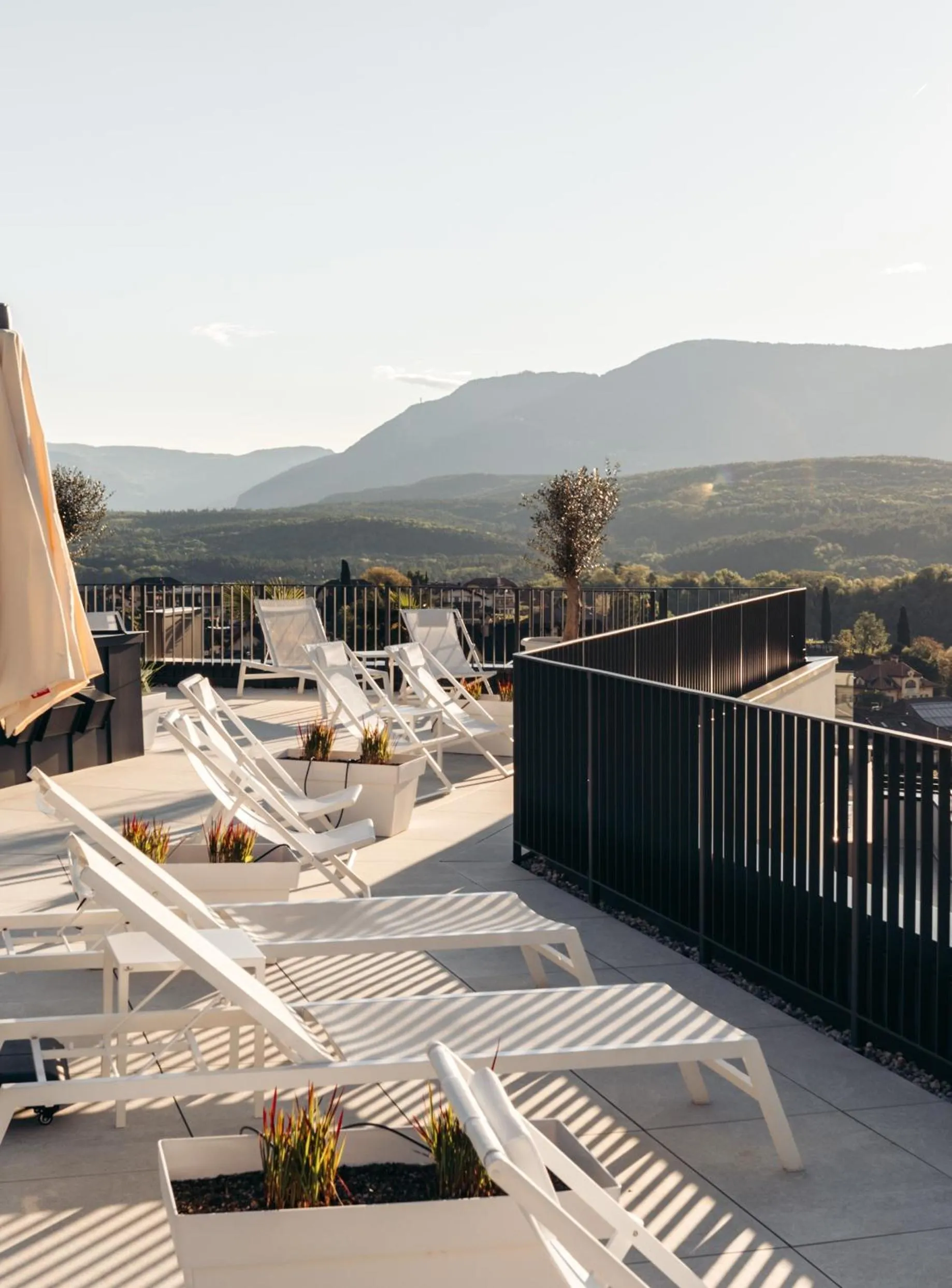 Swimming pool in Villa Weingarten