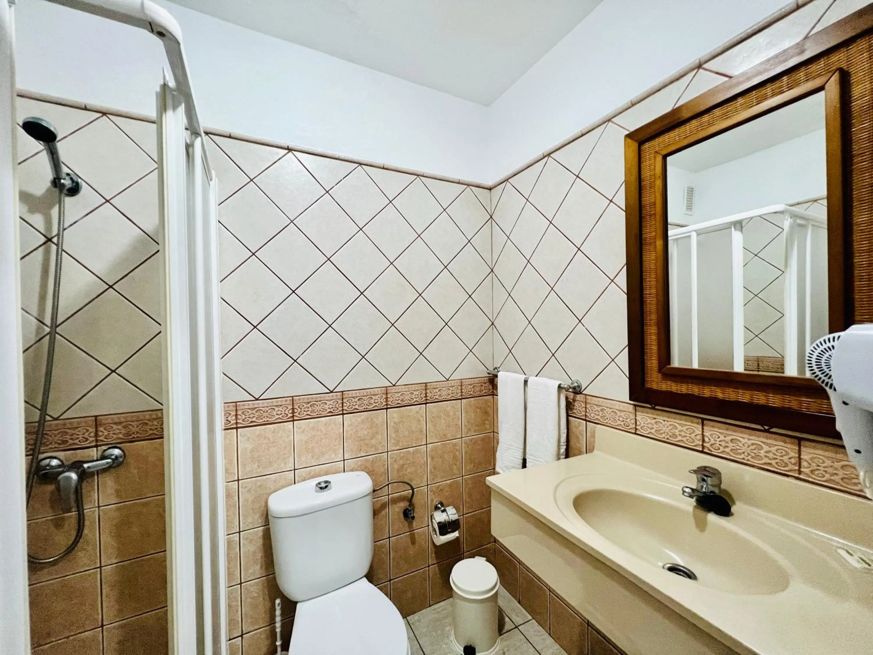 Shower in Apartamentos Frontera