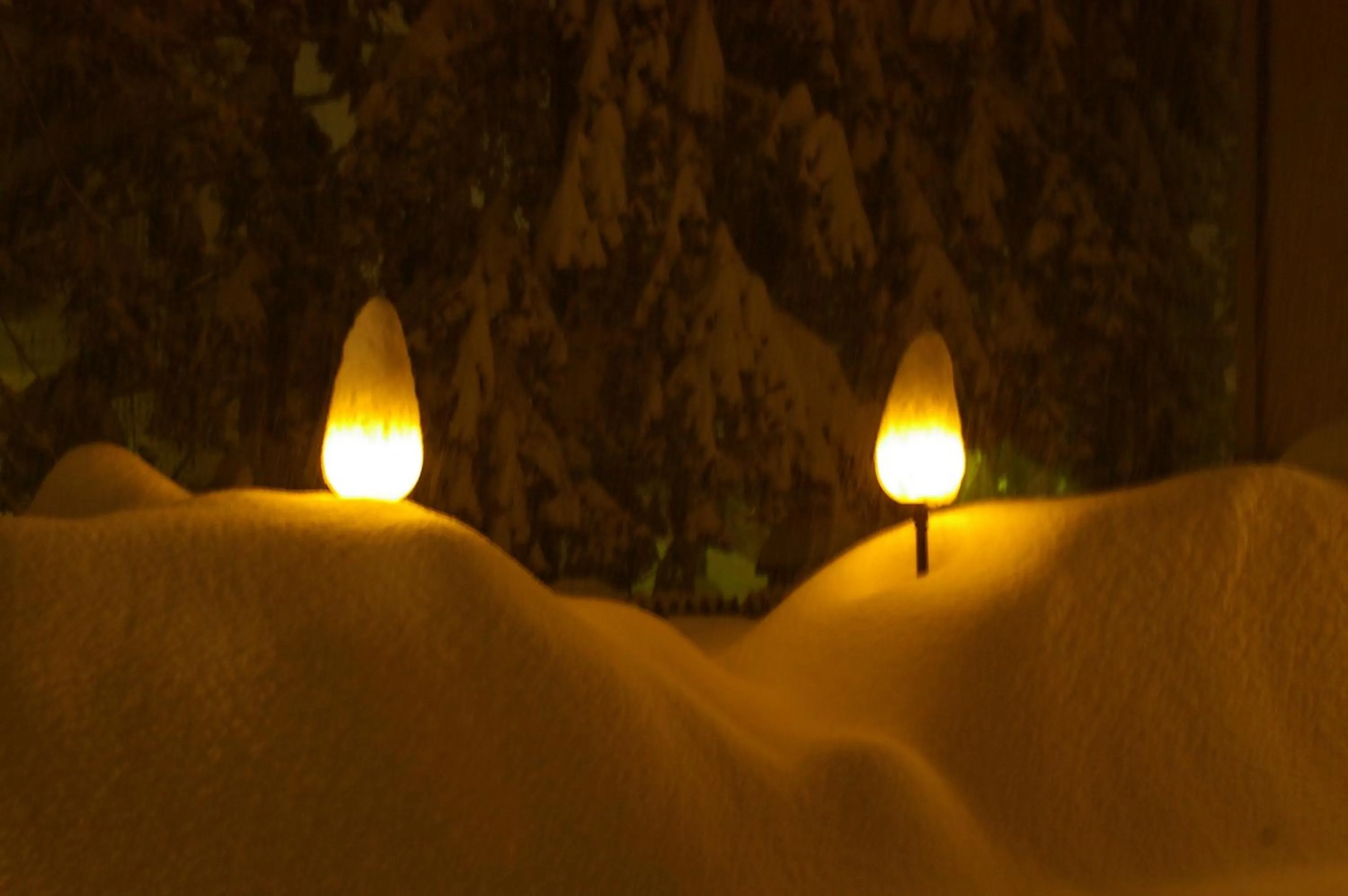 Property building in Hotel Dal Bon