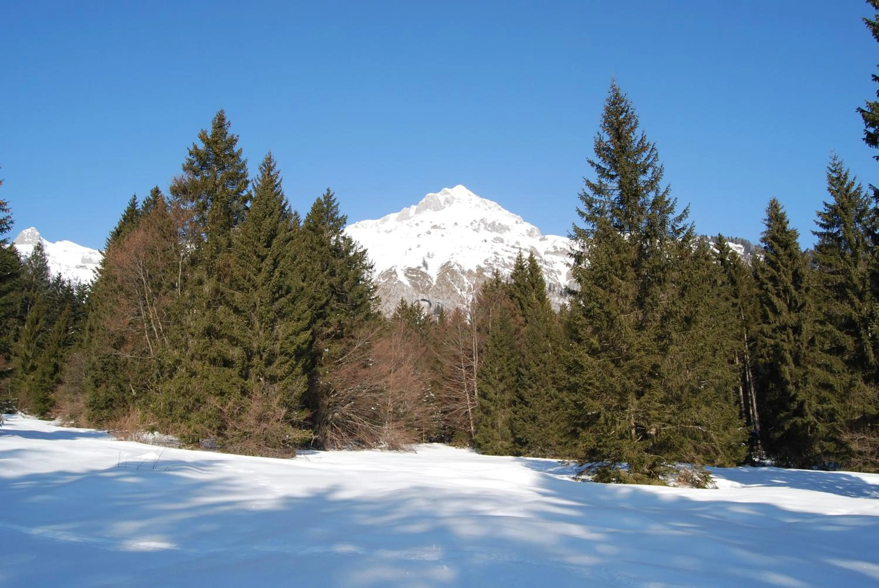 Winter in Hotel Dal Bon