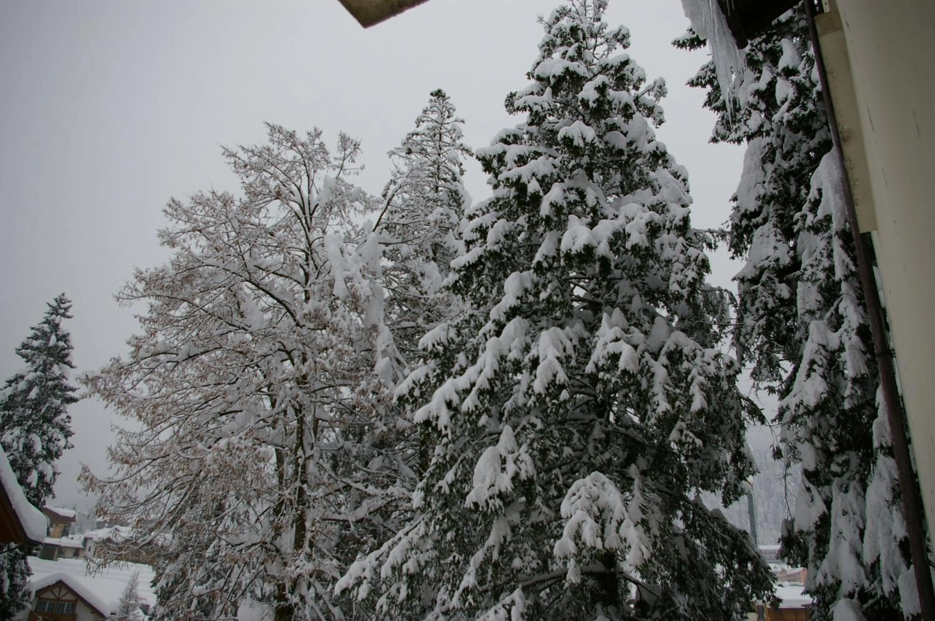 Winter in Hotel Dal Bon