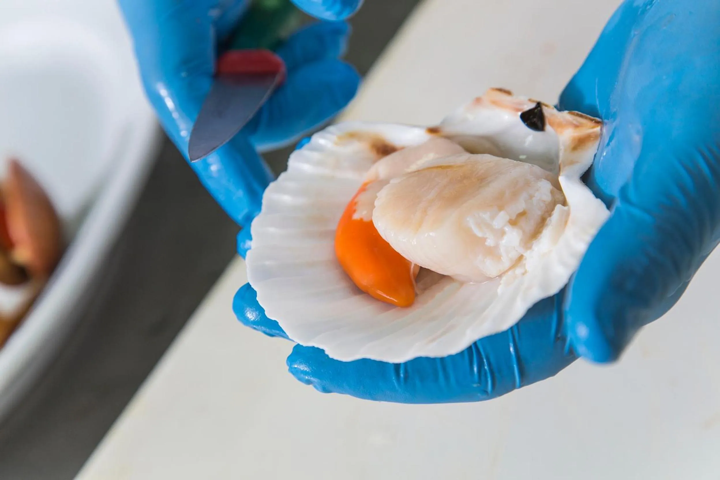 Food close-up in Hotel Mara