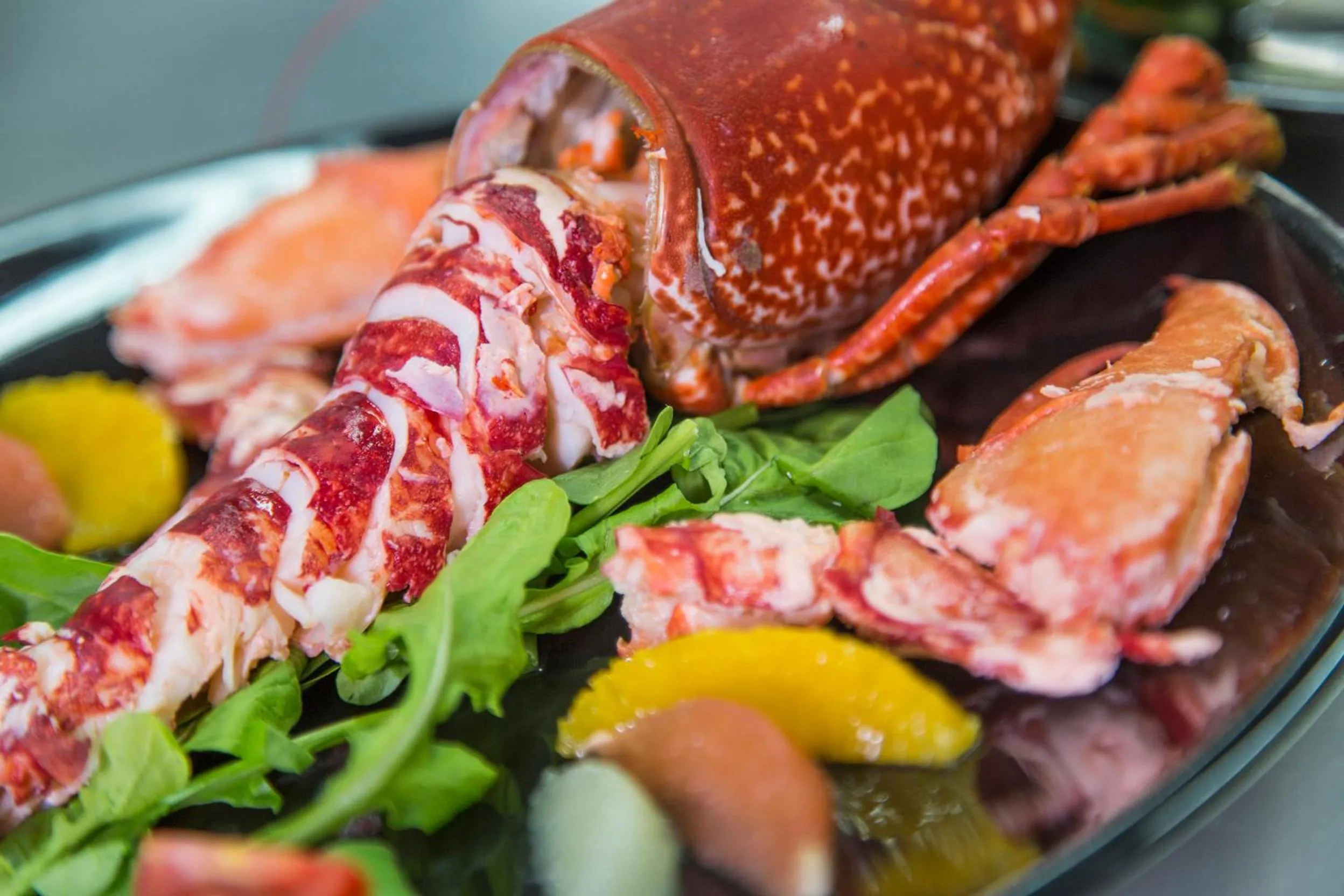 Food close-up in Hotel Mara