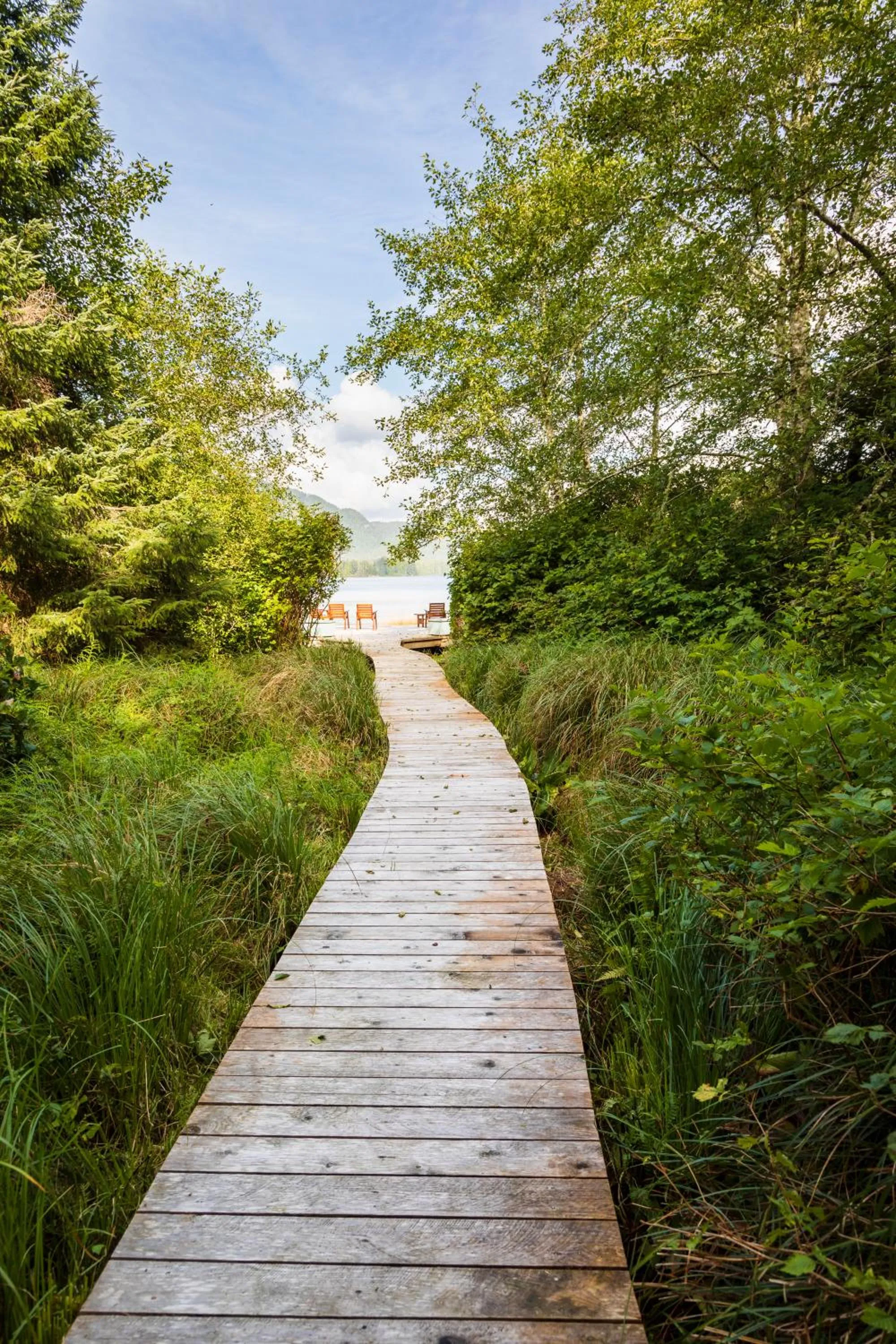 Hiking in Hotel Zed Tofino