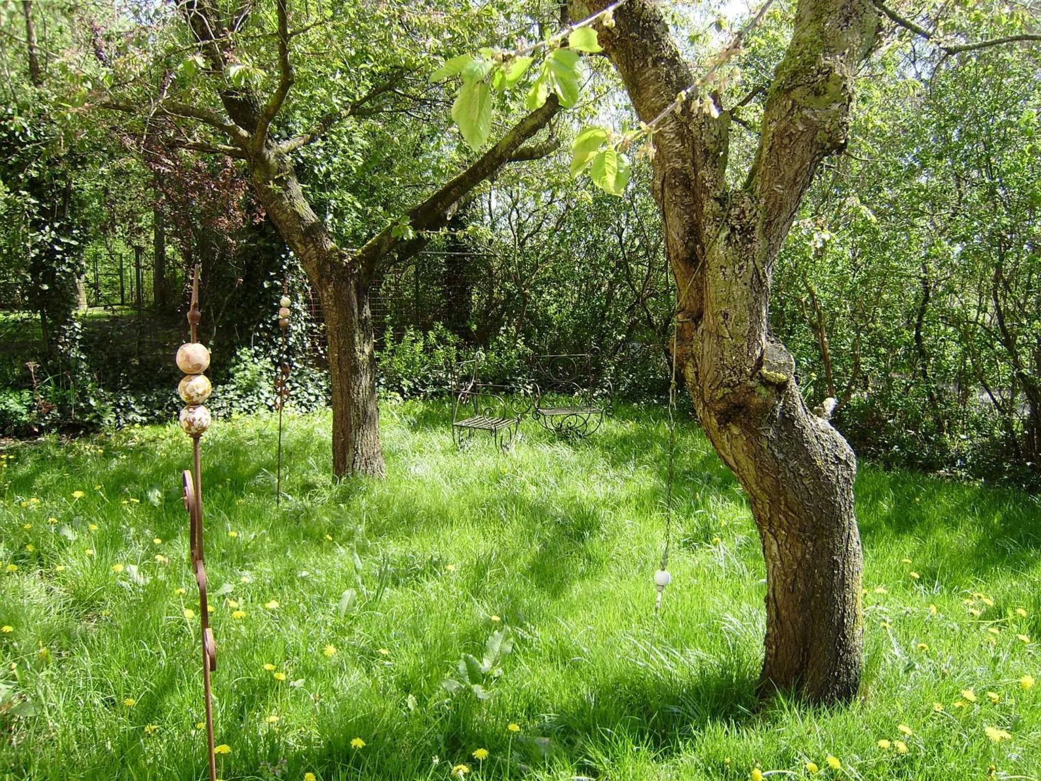 Natural landscape in Hotel garni Godenhof