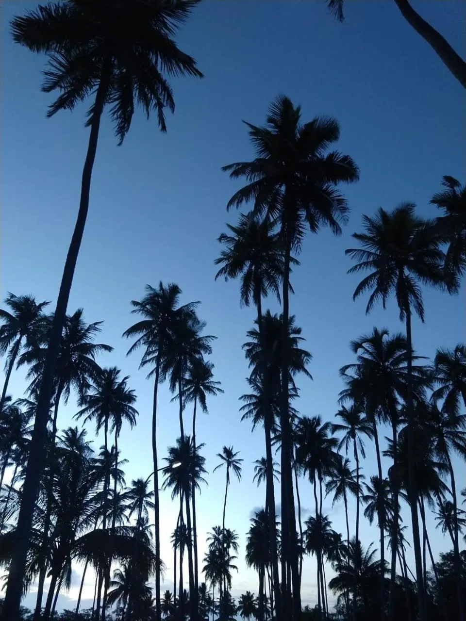 Beach in Hotel D'Anatureza